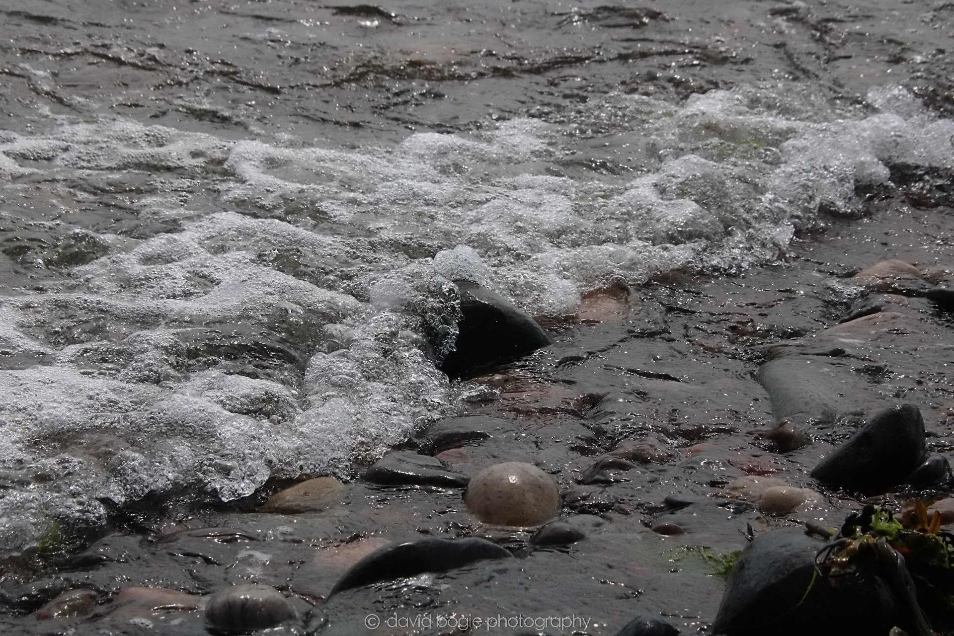 20210725 Ravenscraig  00004.jpg