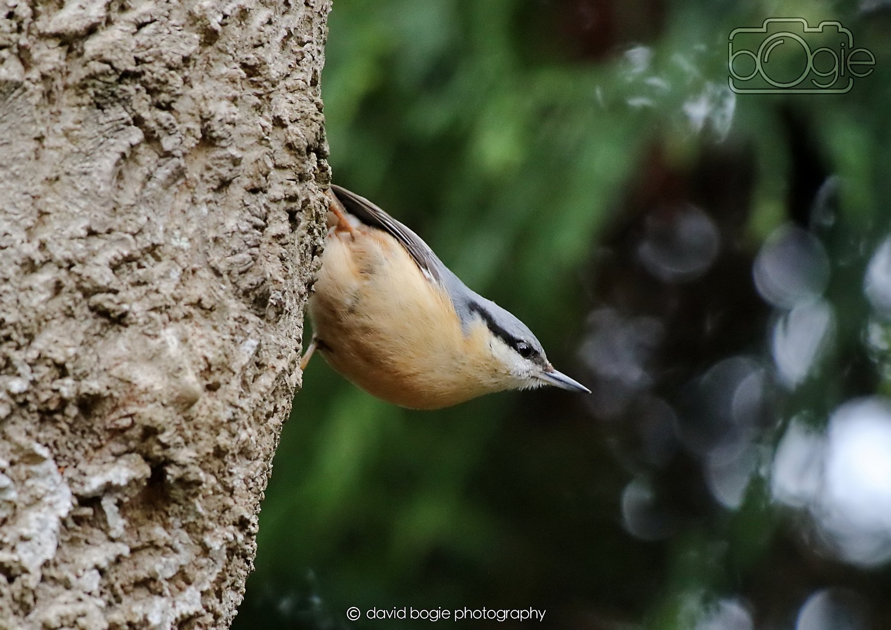 20260330 112925 Dunnikier 0205.jpg