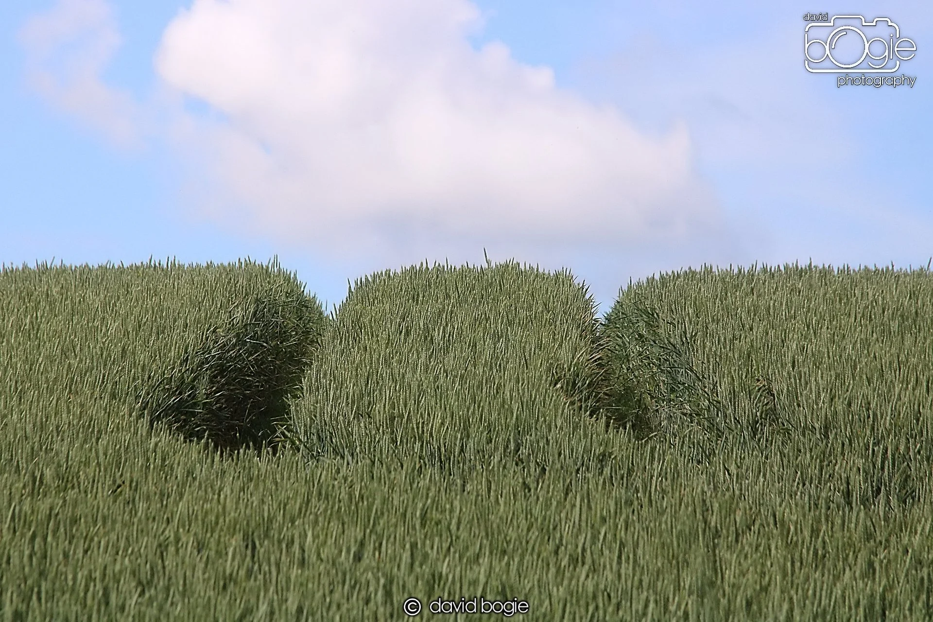 20210716 171950 Dunmore 0026  .JPG