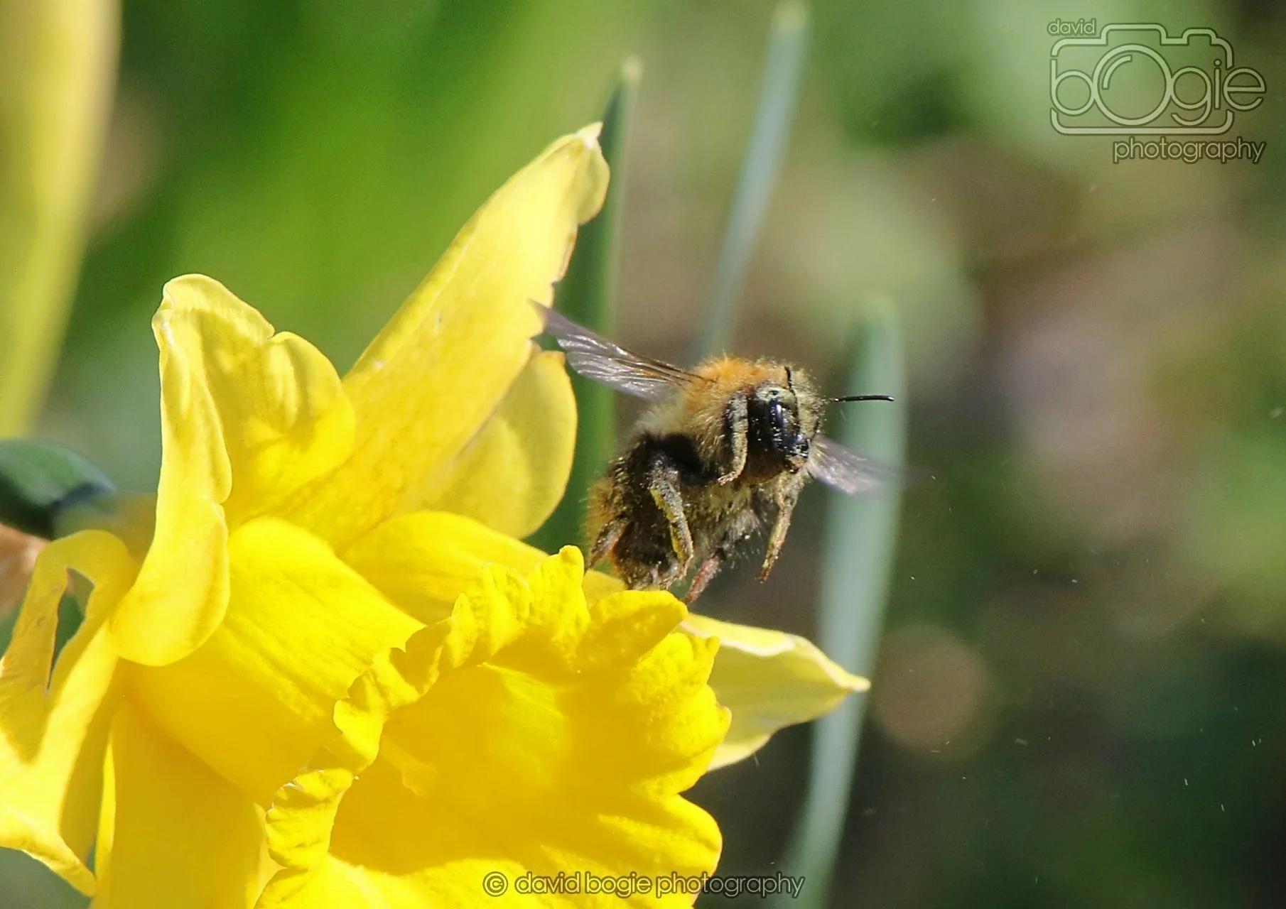 20260319 115453 Beveridge Park 0215.jpg