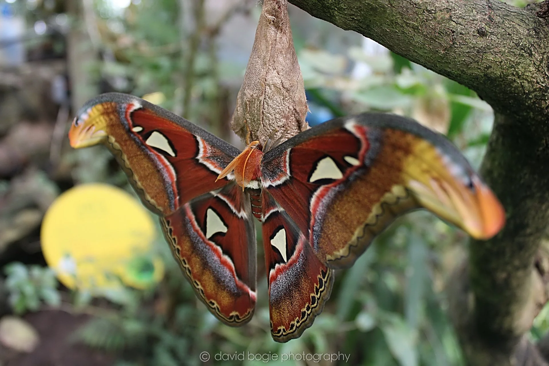 20191019 125849 Butterfly World 0030.jpg