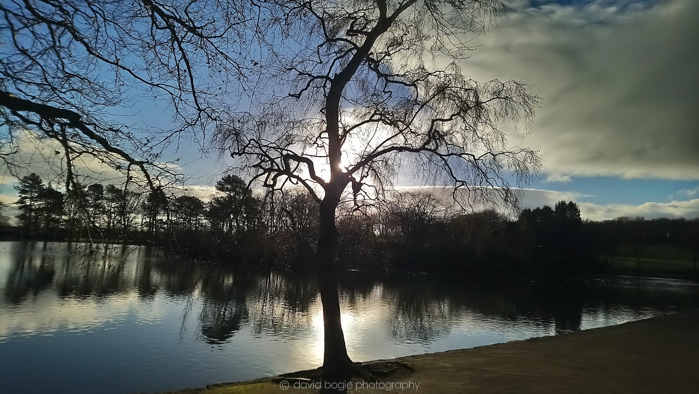 20190101 122222 Beveridge 0003.jpg