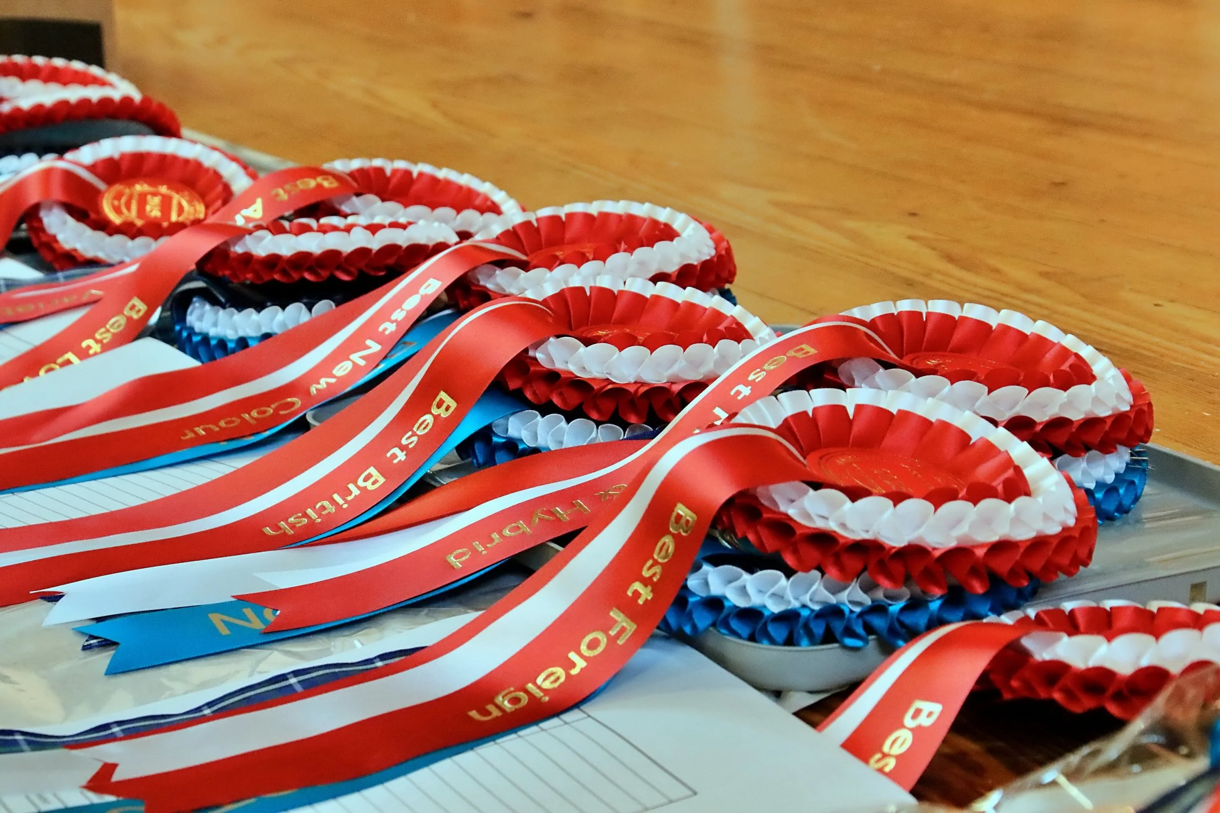 20251102 093523 Markinch CBS  0242.JPG