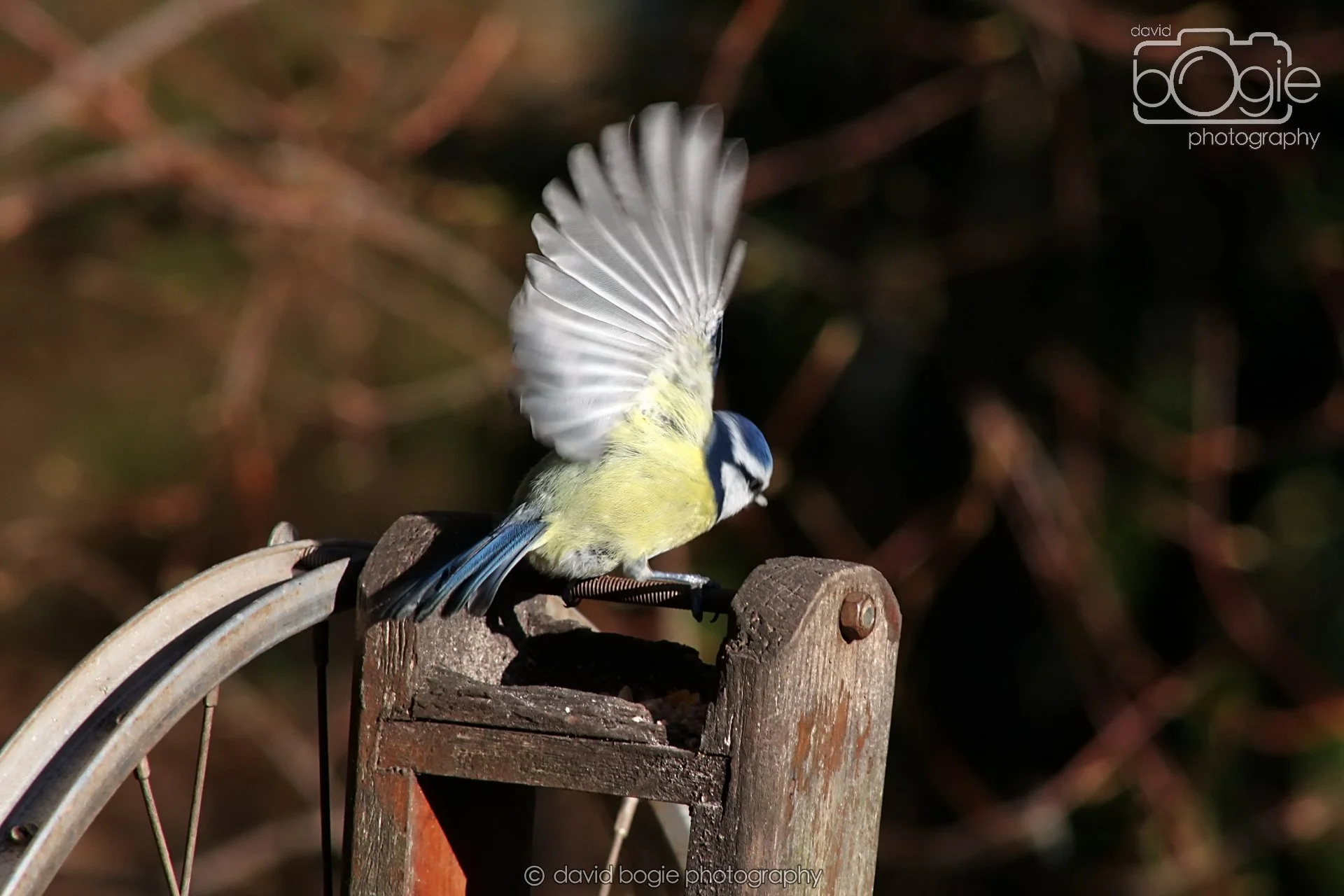 20251125 133721 Silverburn 0094.JPG