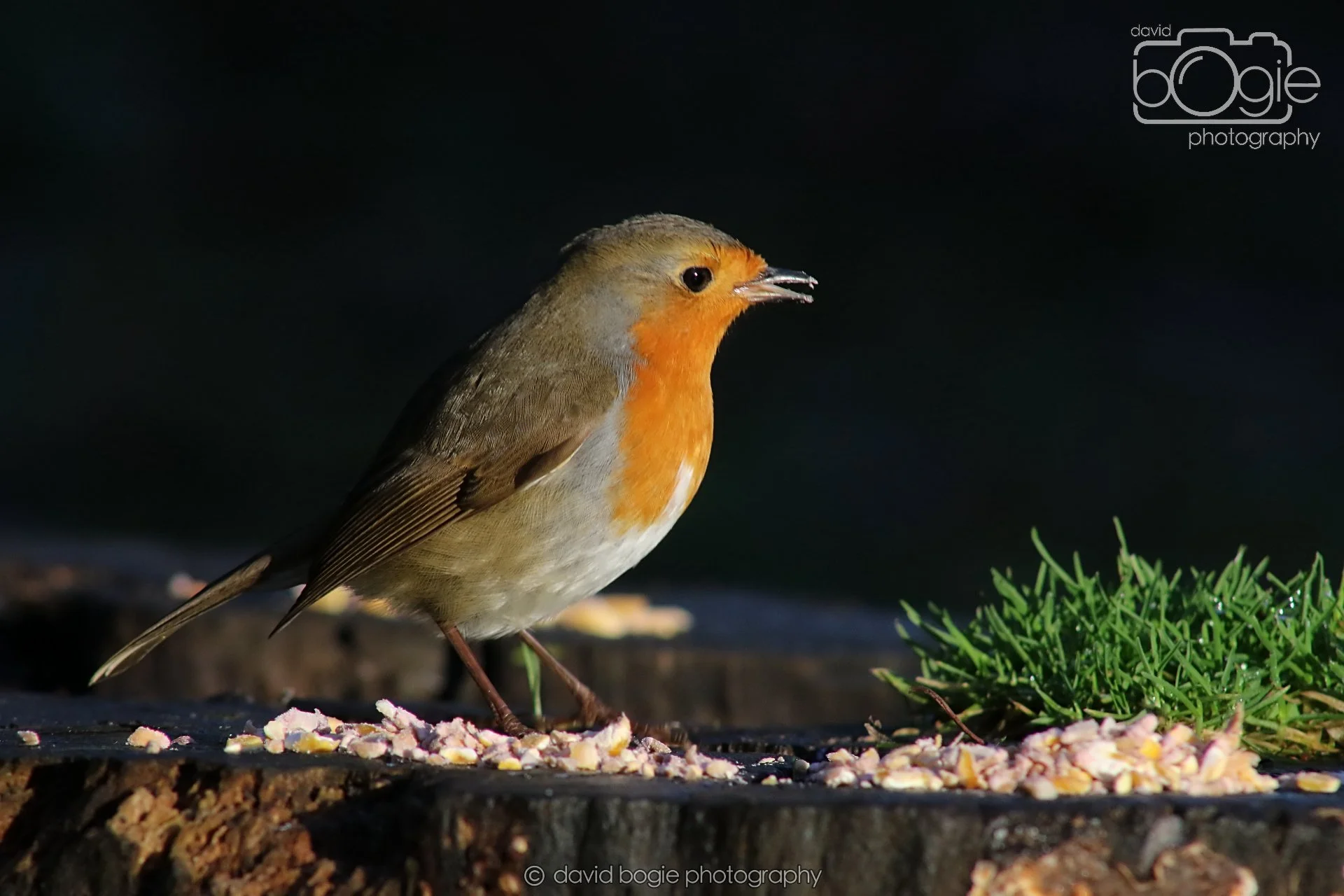 20251125 142820 Silverburn 0721.JPG