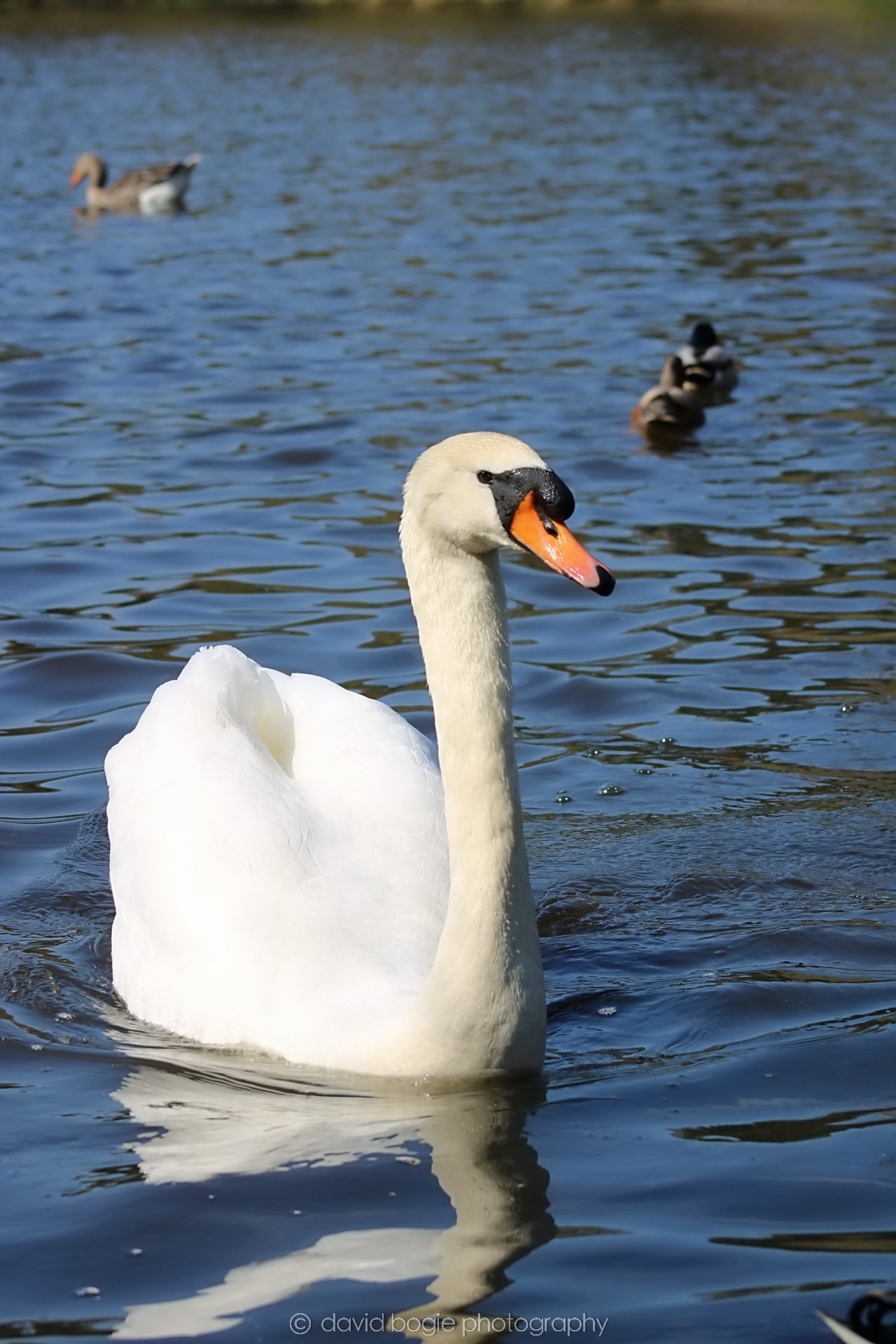 20190411 112446 Otterston 0031.jpg