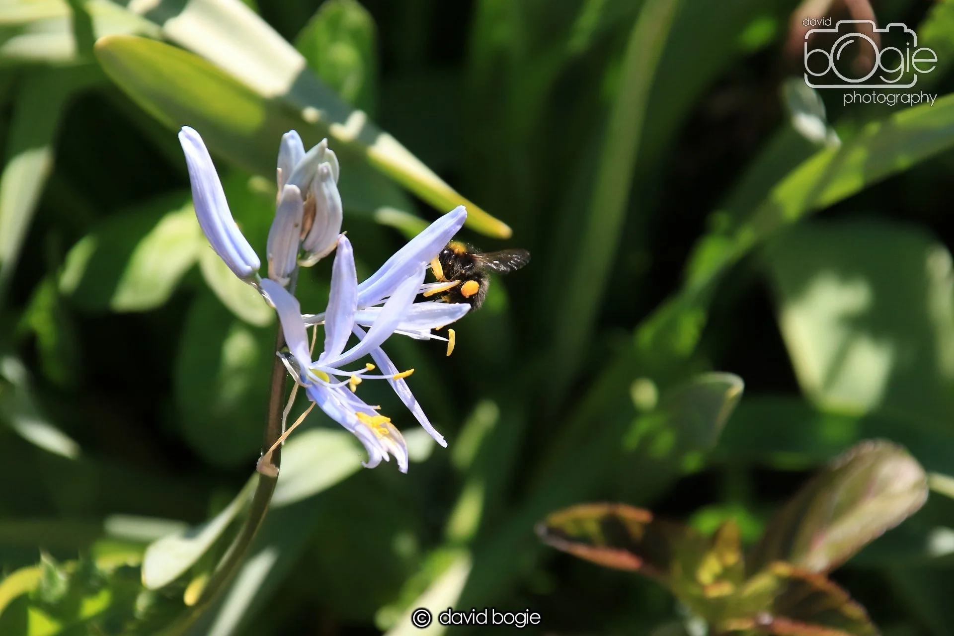 20250517 134457 Beveridge Park 0657.JPG