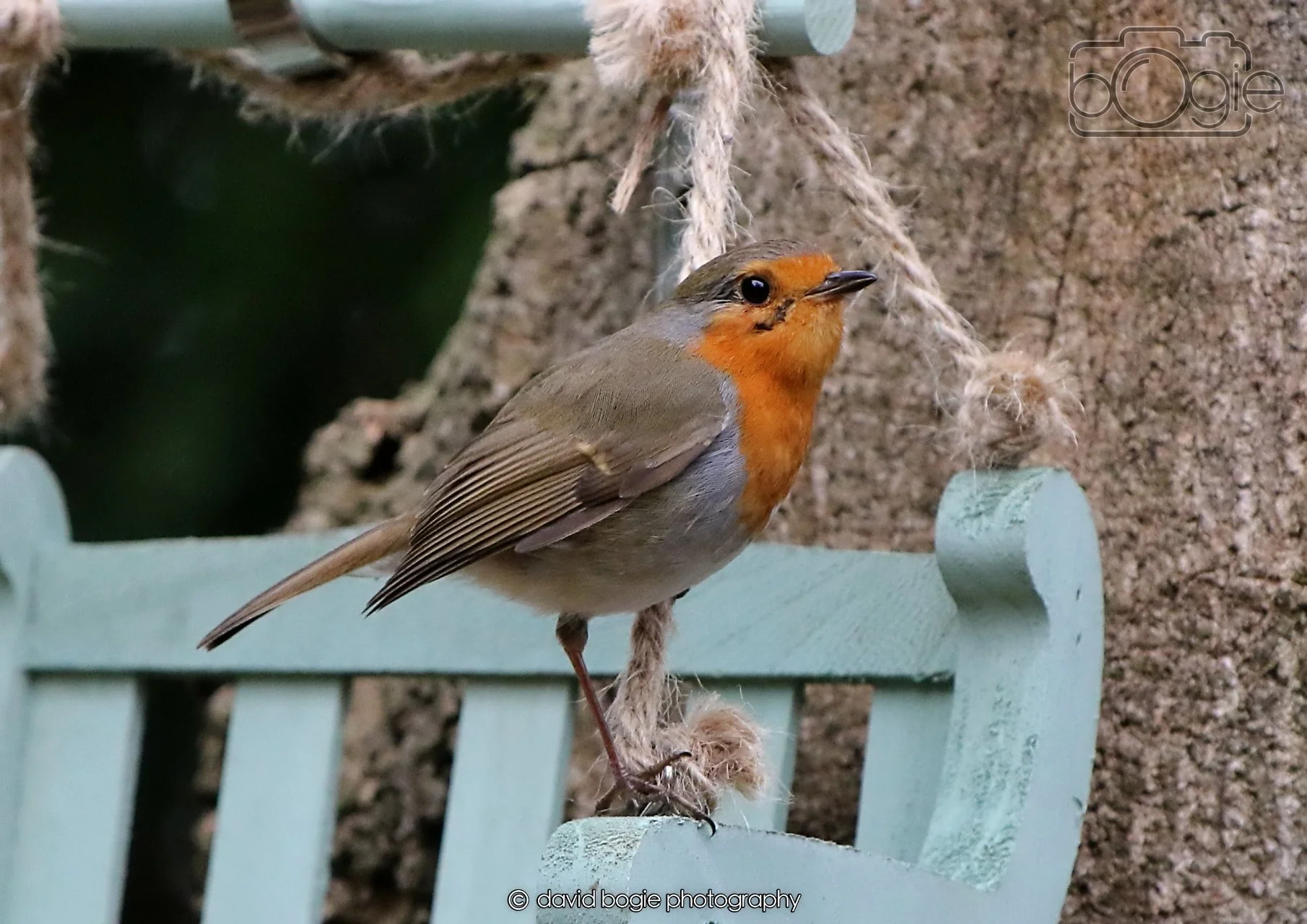 20260403 125419 Dunnikier 0252.jpg