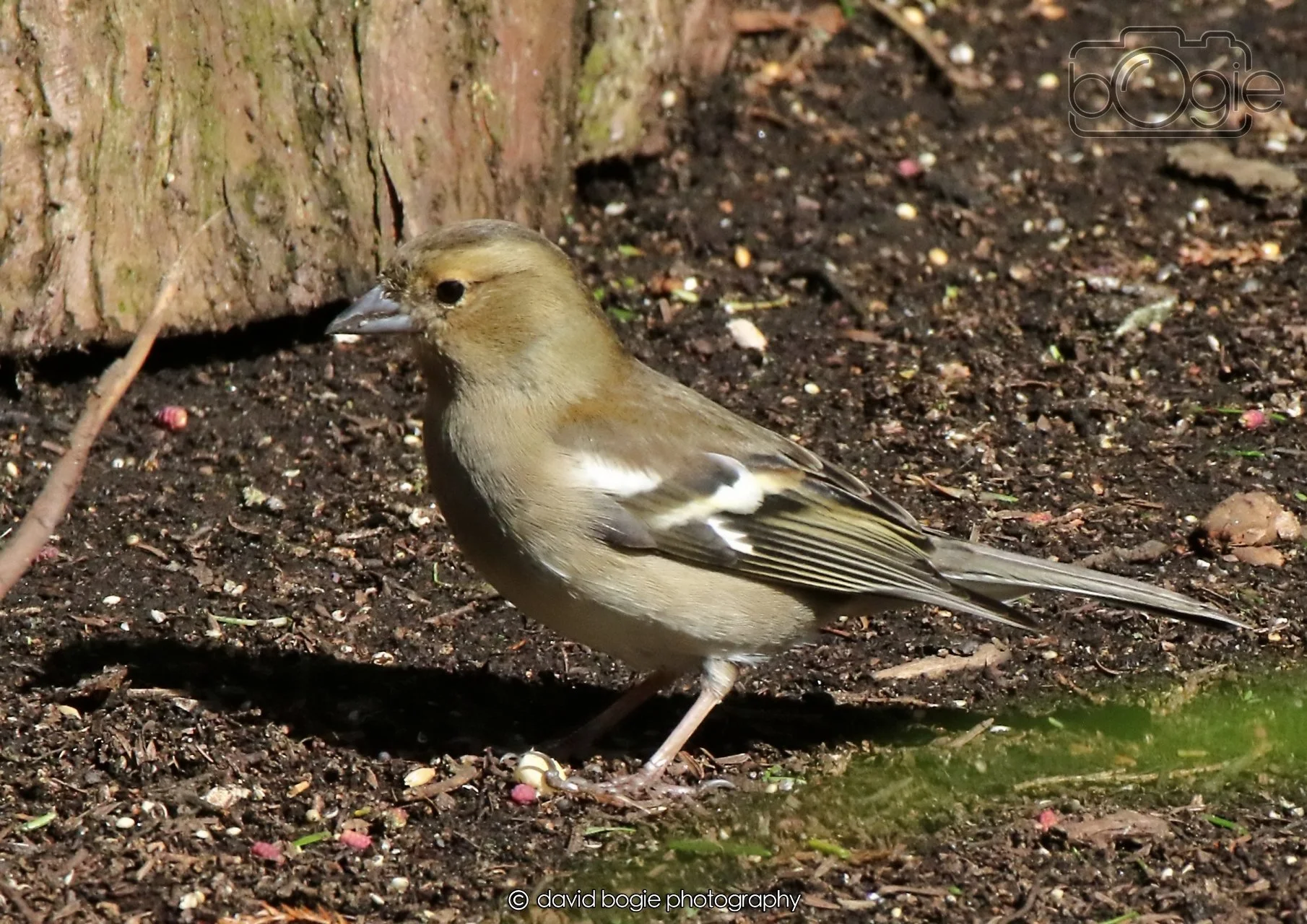 20260403 121421 Dunnikier 0090.jpg