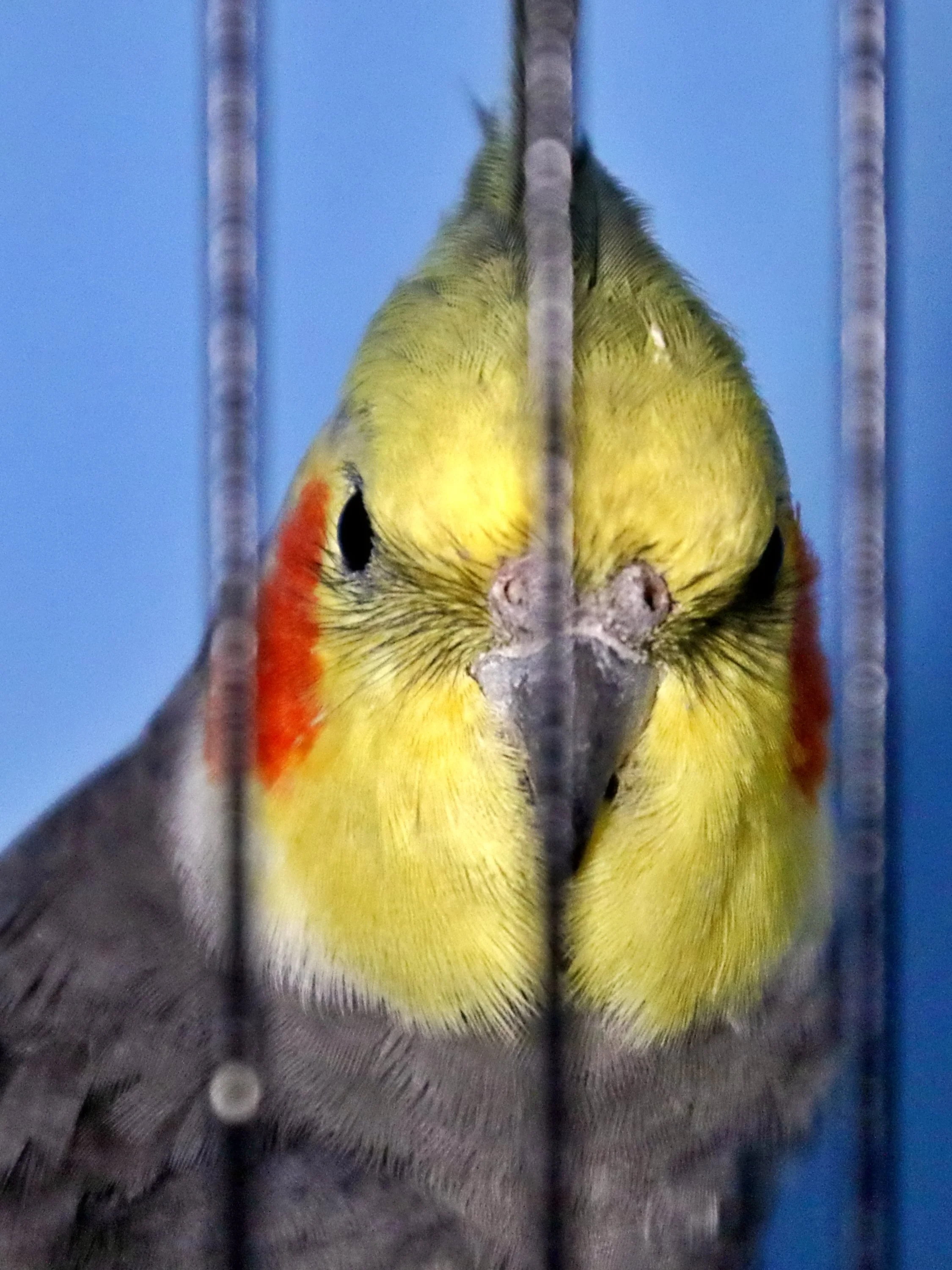 20251102 125142 Markinch CBS  0588.JPG