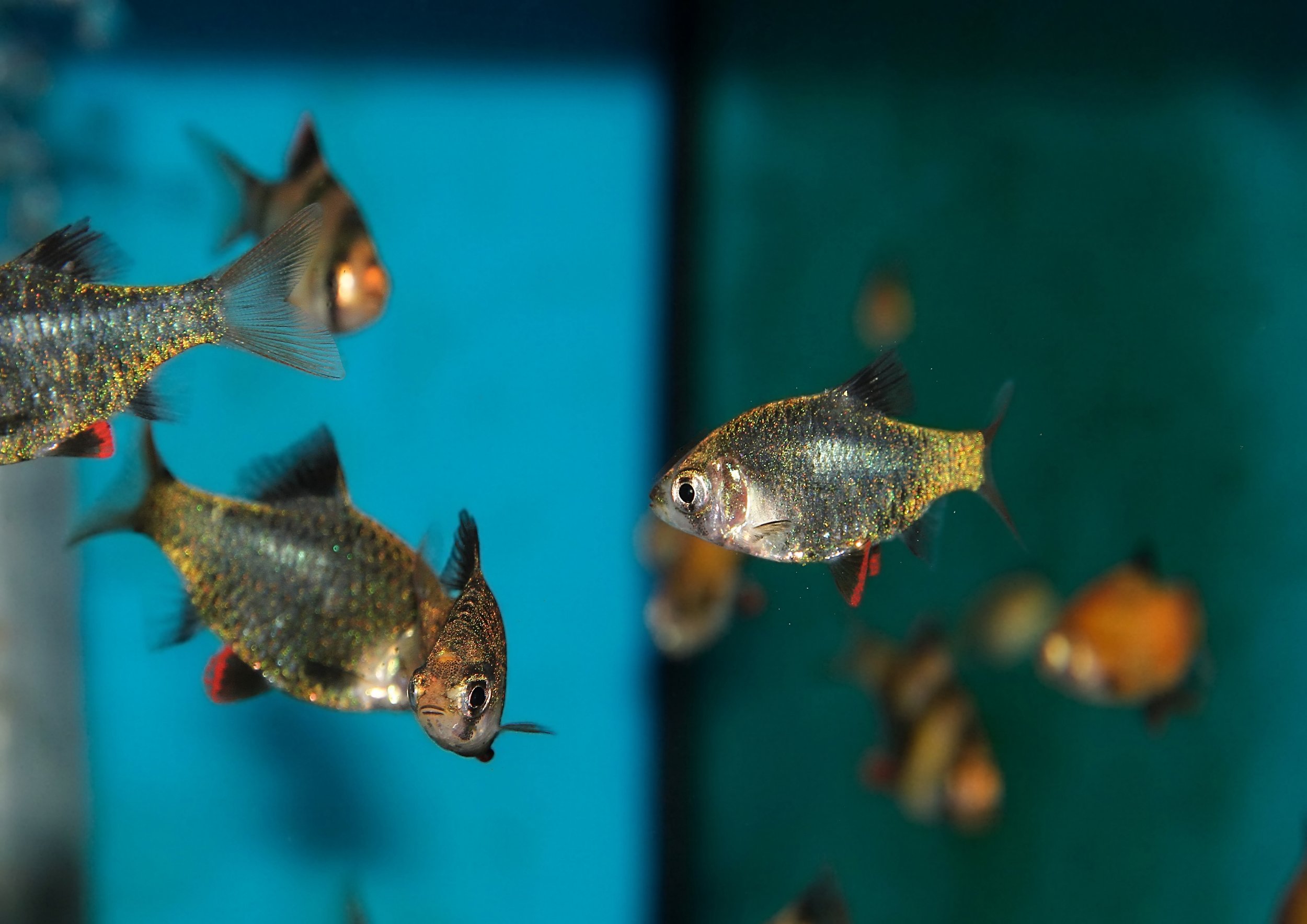 20260403 140824 IMG_0142.jpg