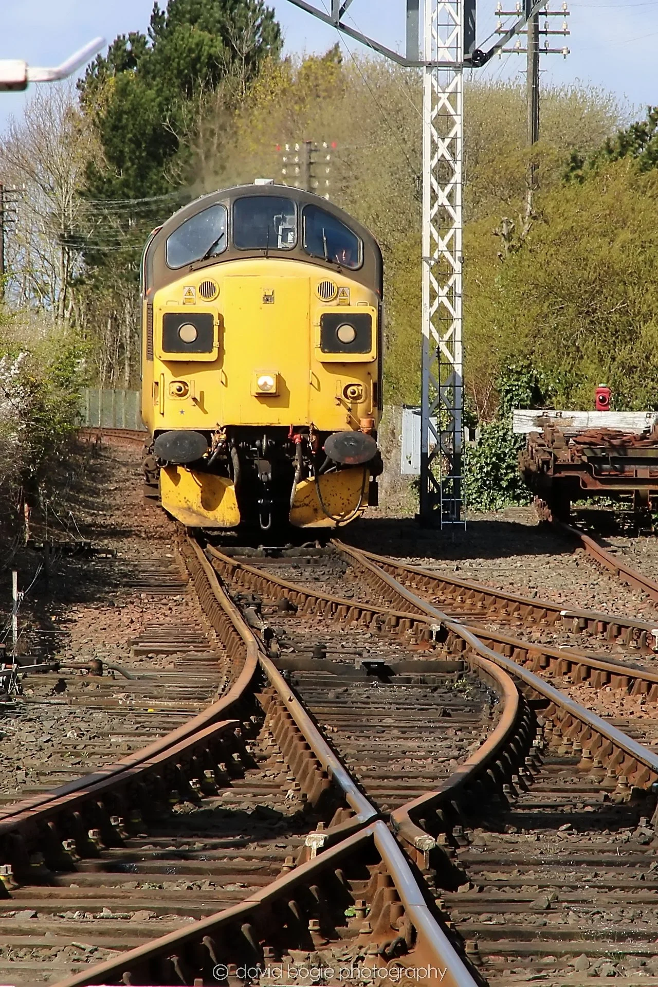 YEAR20230411 112648 Bo'ness 0097.jpg