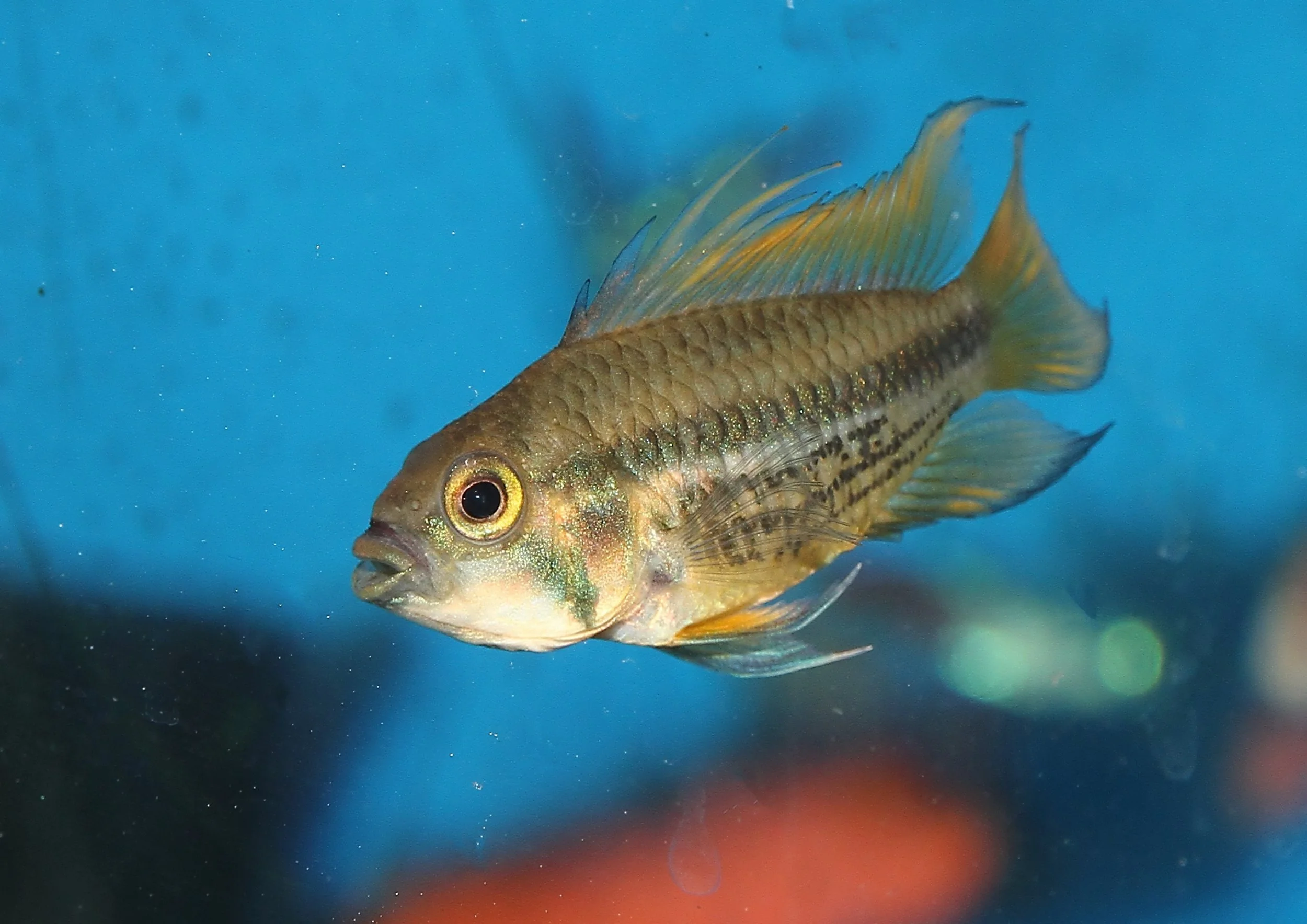 20260403 141757 IMG_0166.jpg