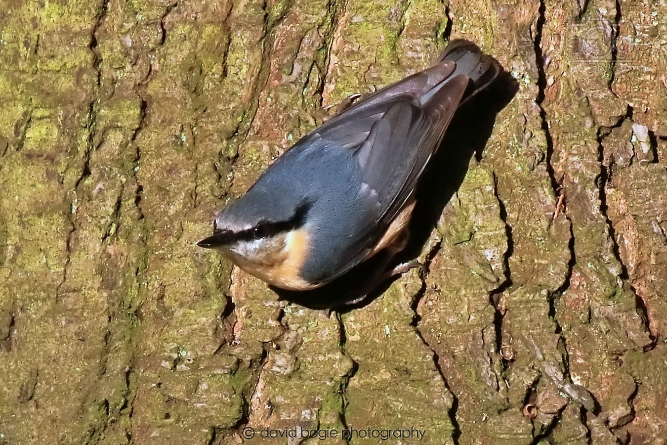 20260128 133149 Dunnikier 0209.jpg