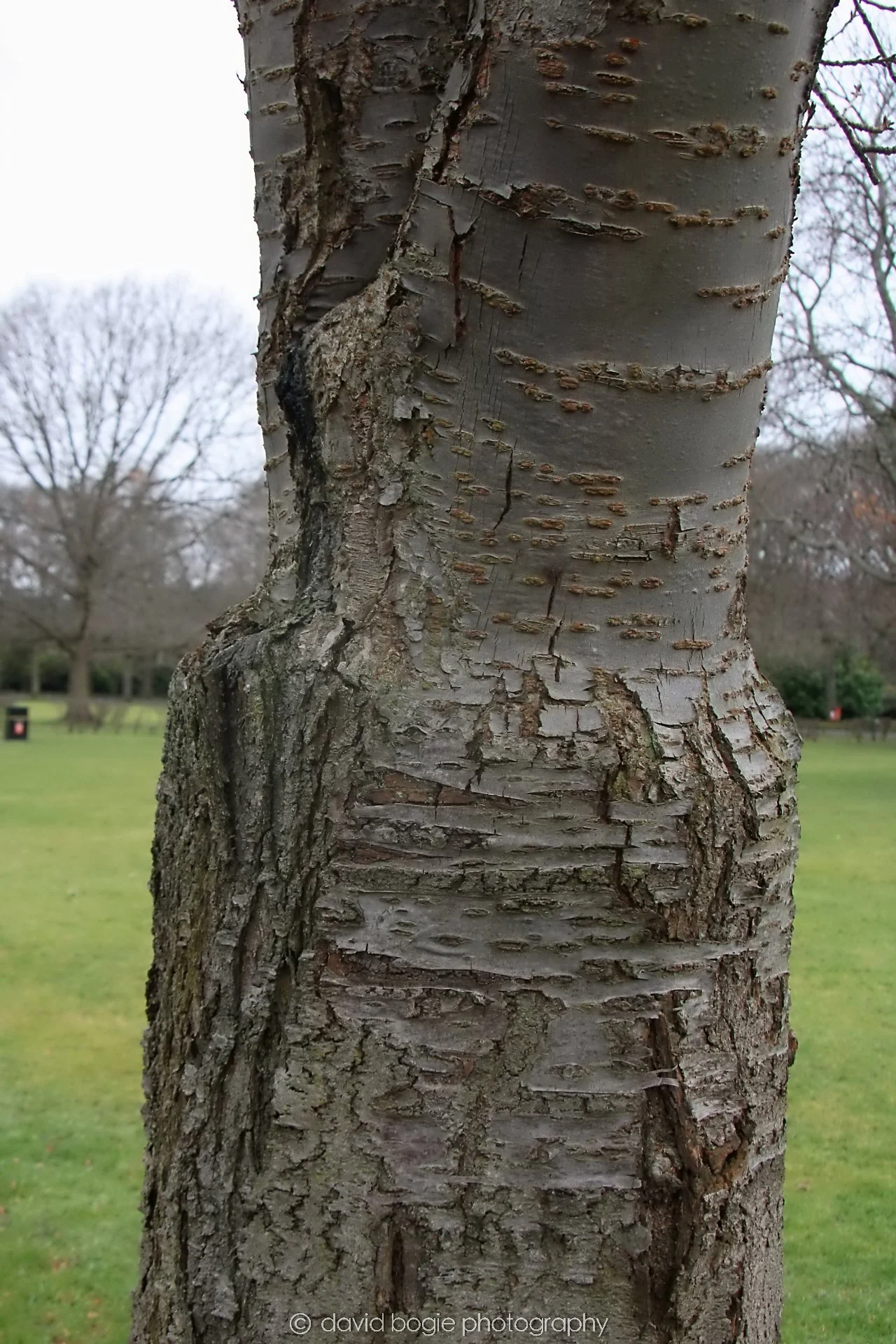 YEAR20240217 IMG Beveridge Park 0192.jpg