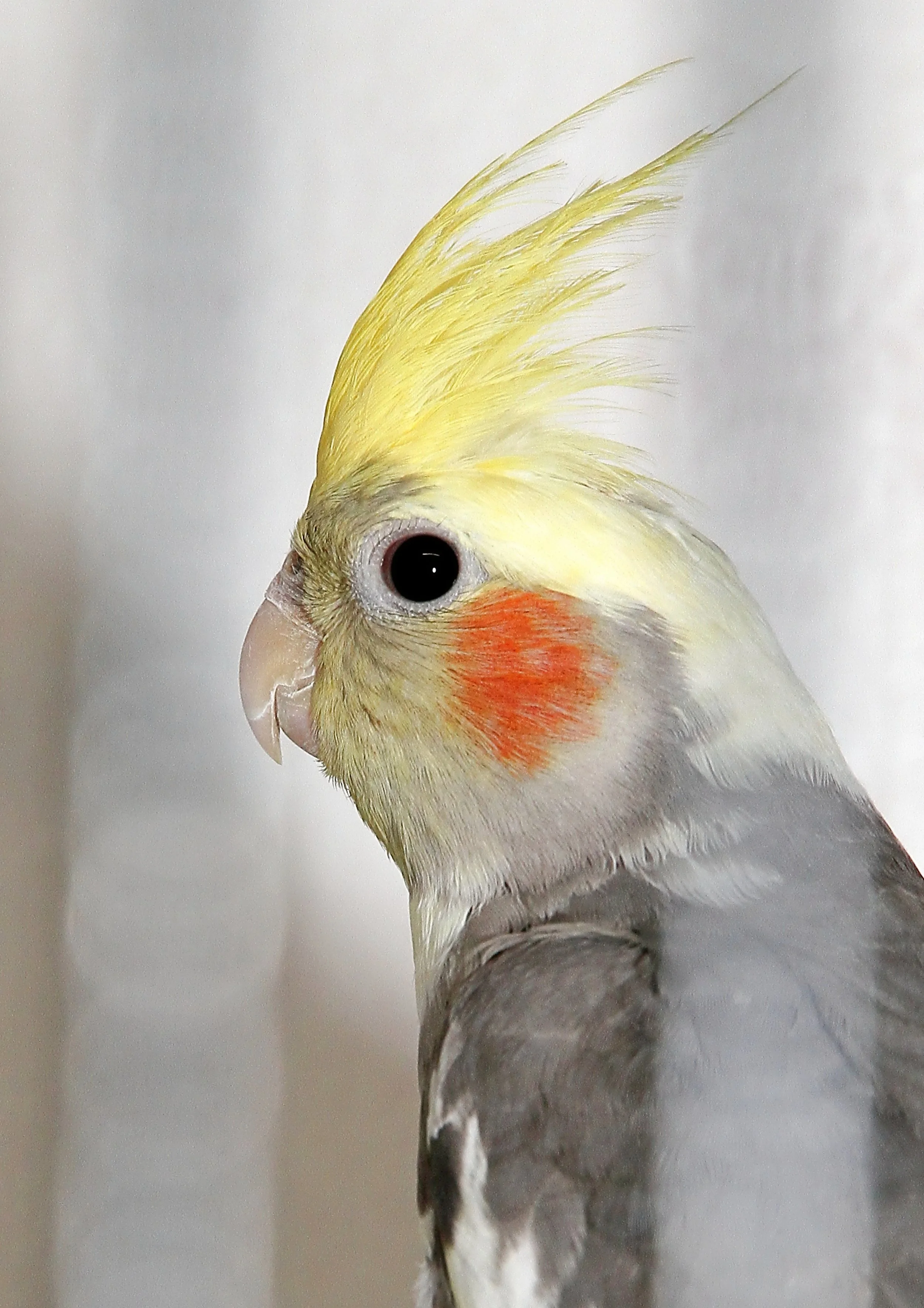 20260331 105220 K&S 0367.jpg