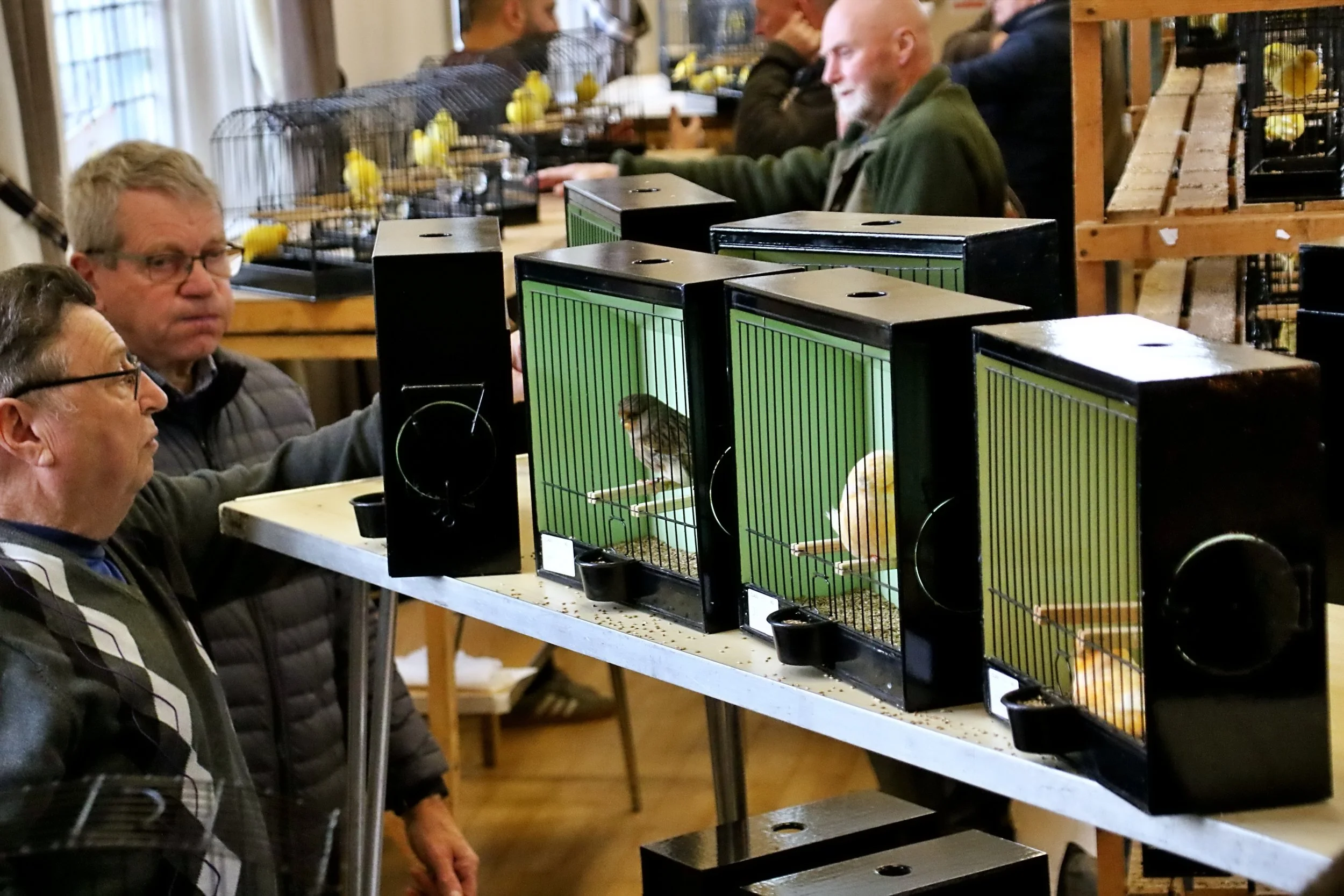 20251102 101619 Markinch CBS  0311.JPG