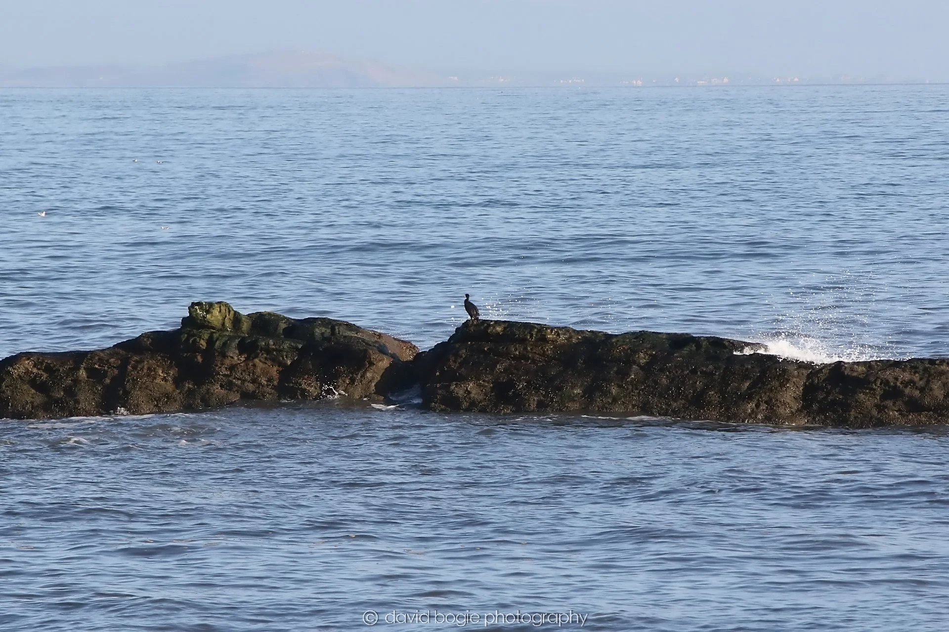YEAR20260119 124144 IMG_0009.jpg