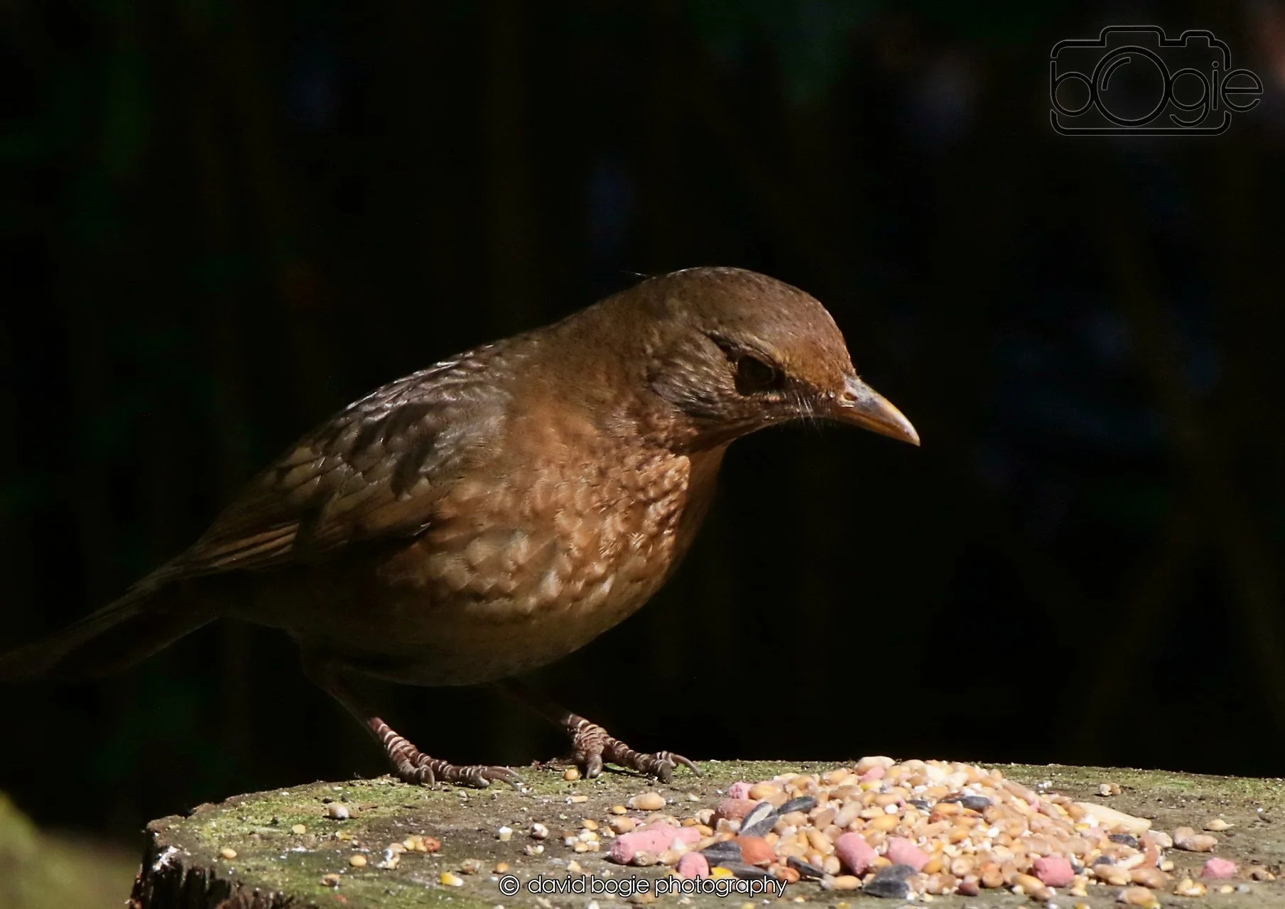 20260403 121346 Dunnikier 0039.jpg