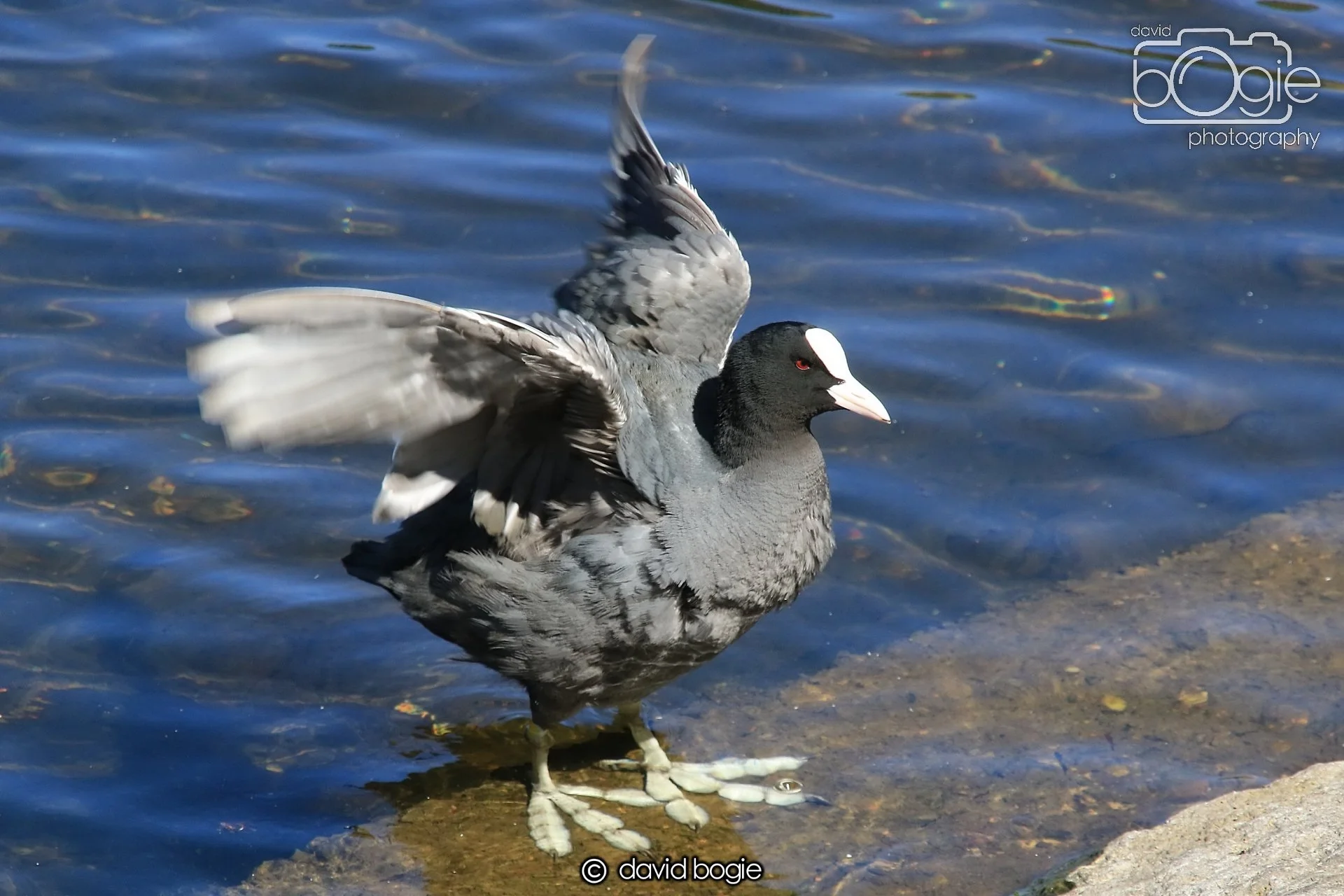 20250505 140640 Beveridge Park 1080.JPG