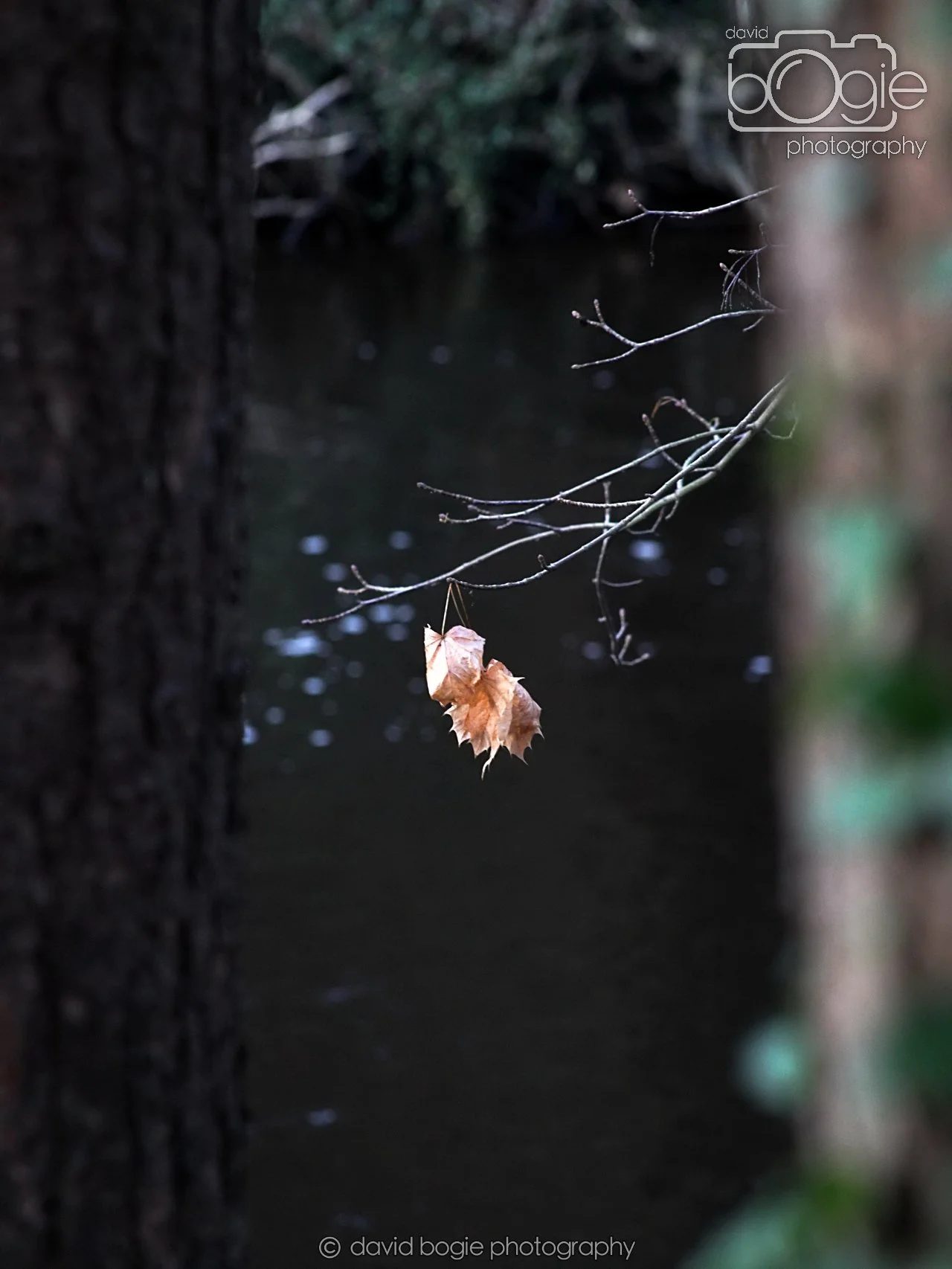 20251205 130022 East Calder 0063.JPG