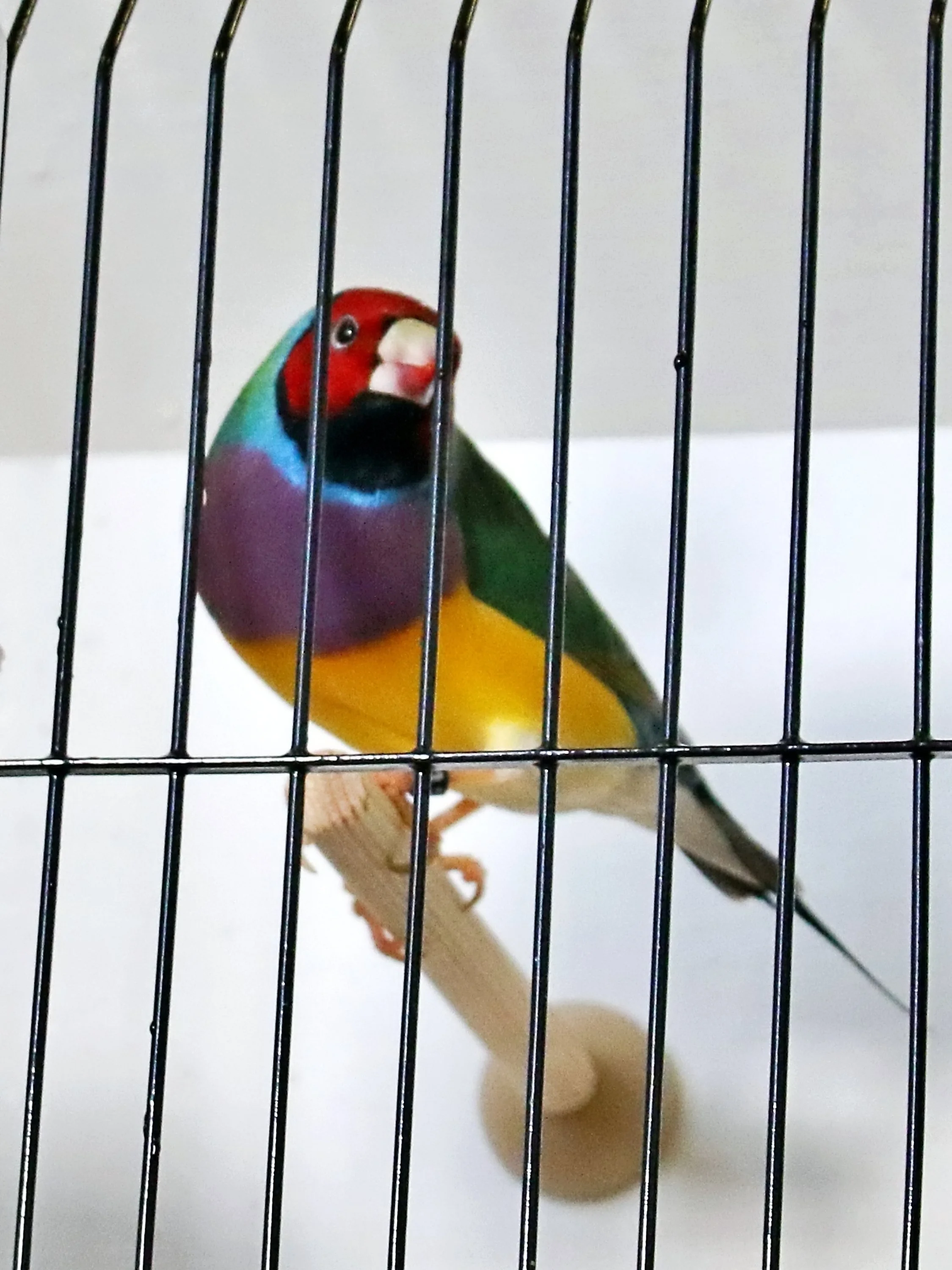 20251102 124302 Markinch CBS  0494.JPG