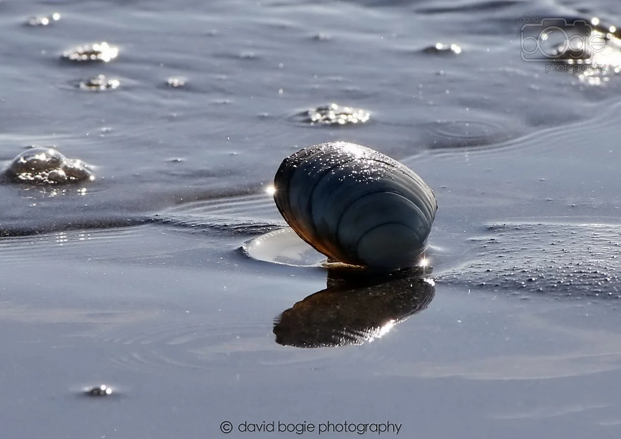 20260307 111458 Kirkcaldy 0089.jpg