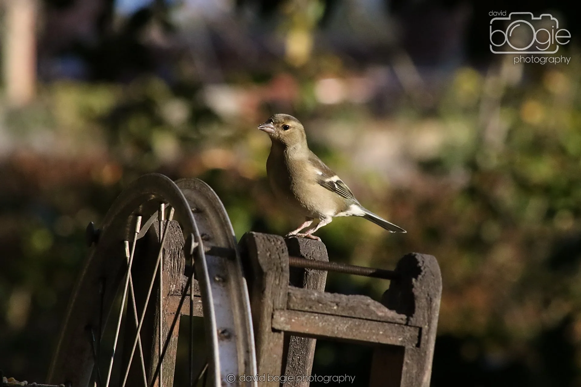 20251125 141330 Silverburn 0641.JPG