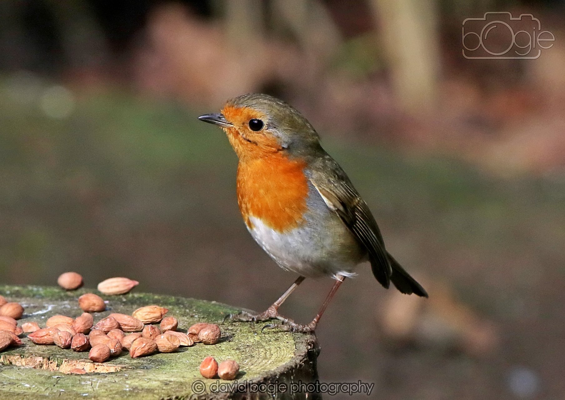 20260322 143328 Dunnikier 0012.jpg