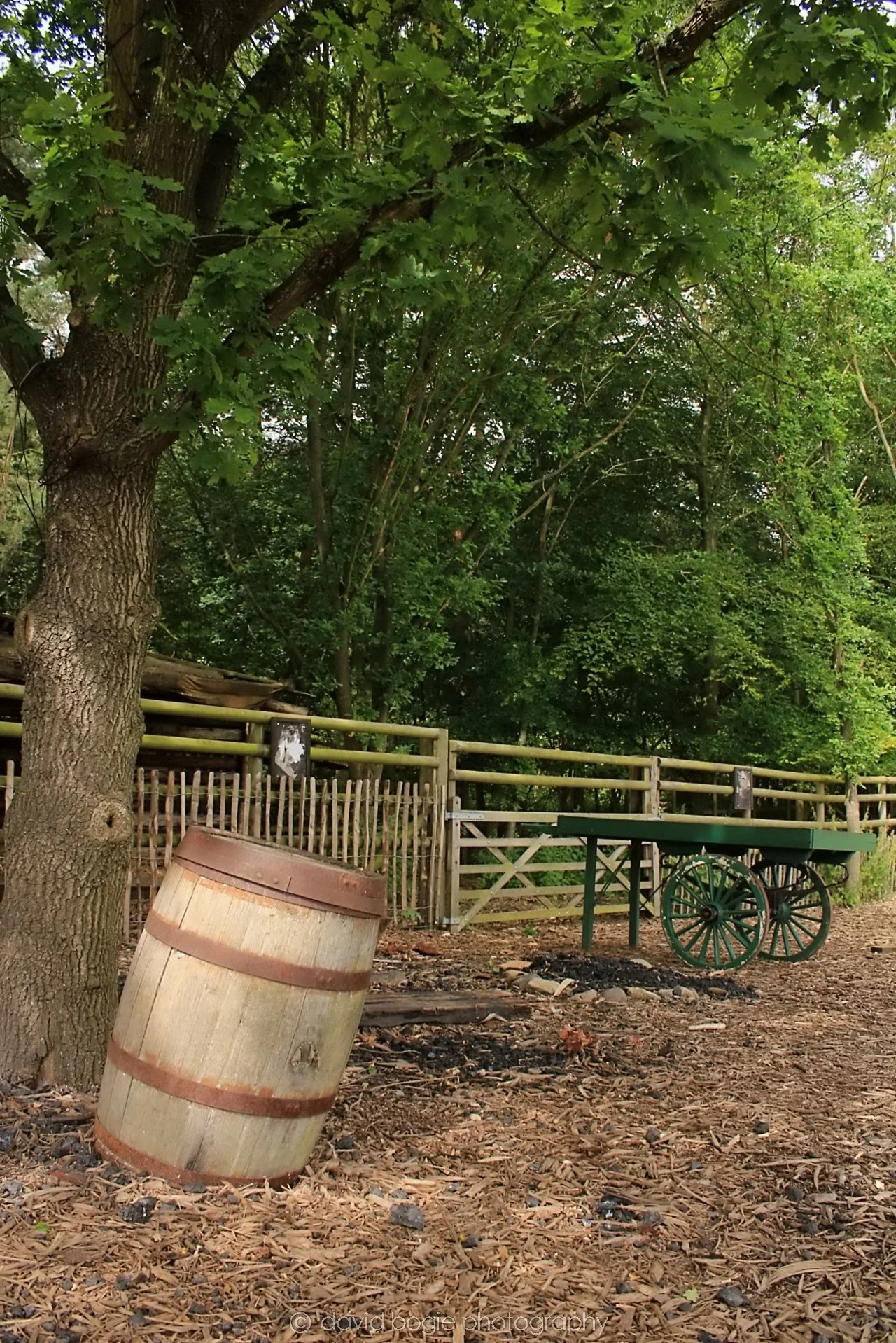 20190722 111631 Beamish .jpg