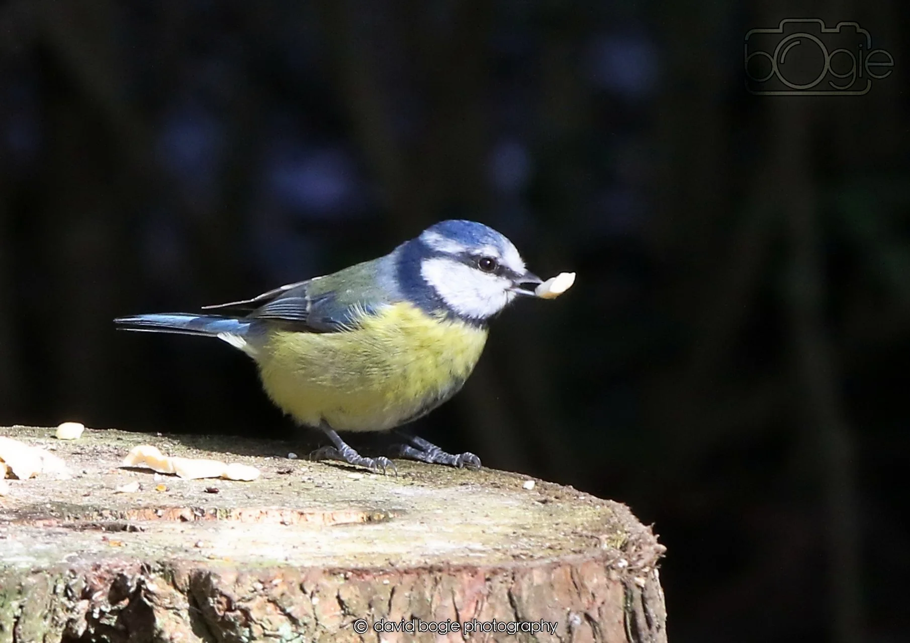 20260330 115243 Dunnikier 0251.jpg