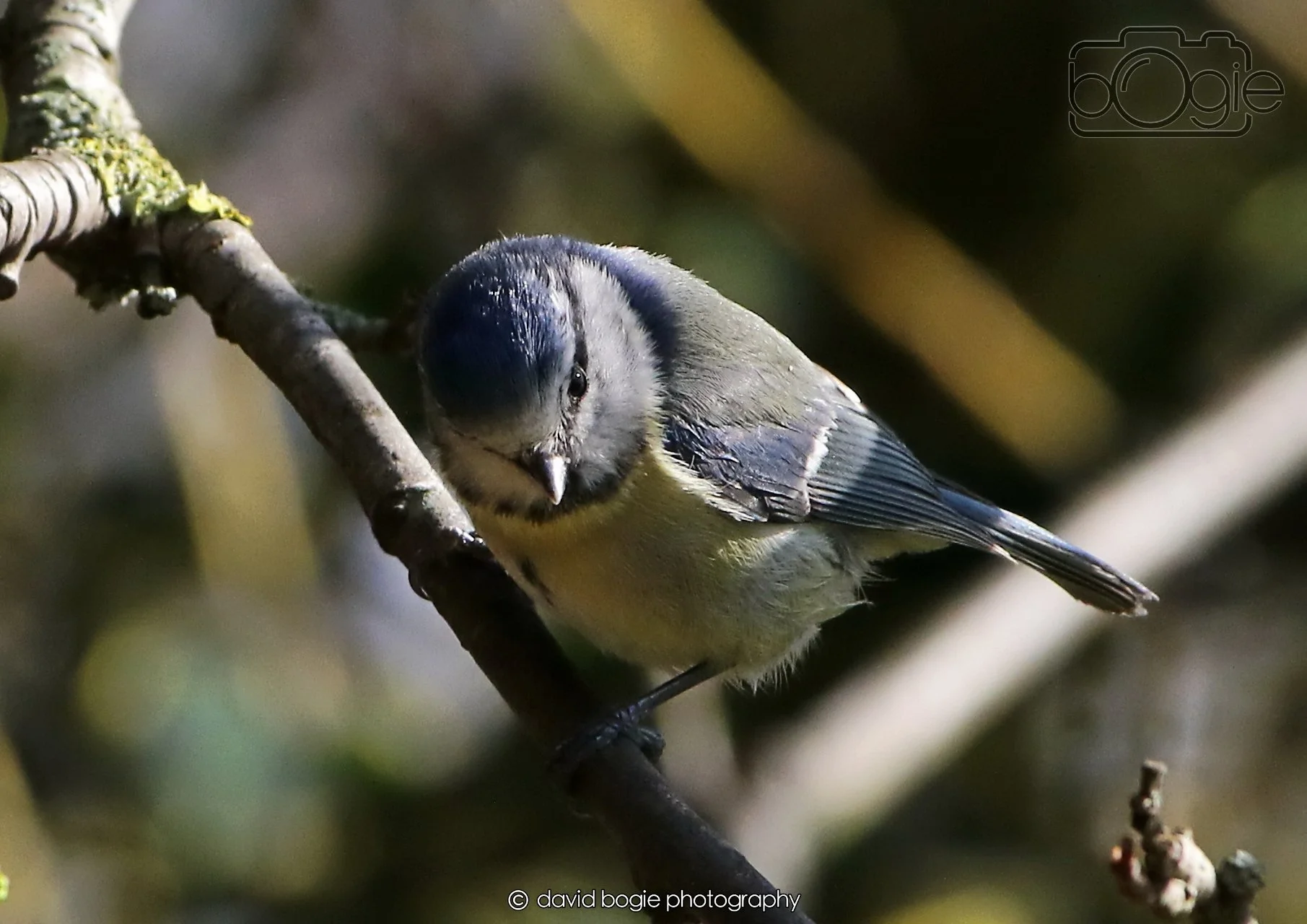 20260402 101810 Silverburn 0142.jpg