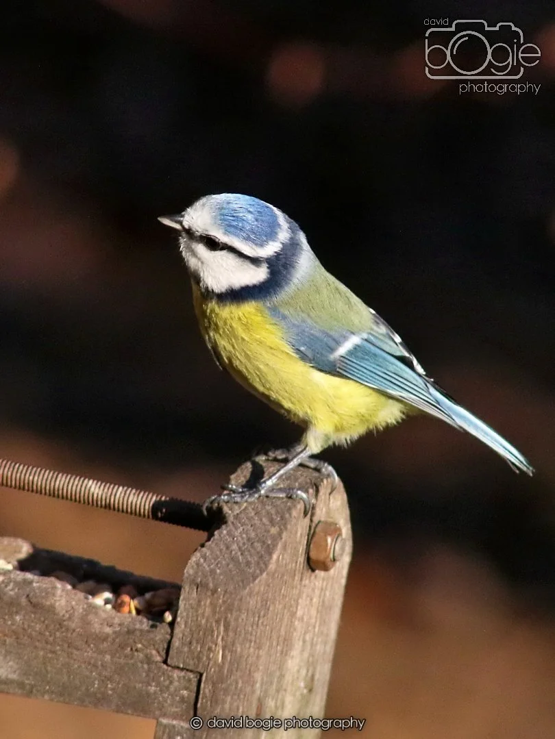 20251231 134344 Silverburn 0208.JPG