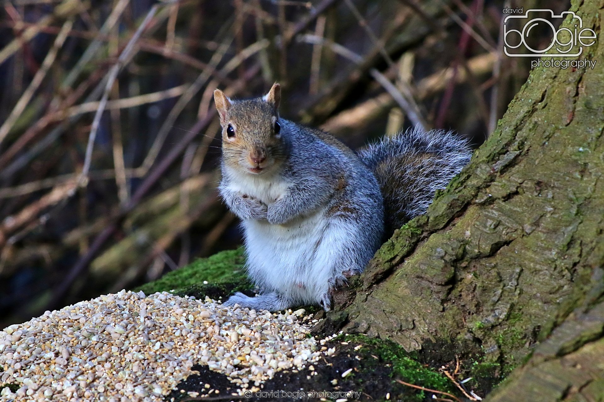 20260128 142628 Dunnikier 0374.JPG