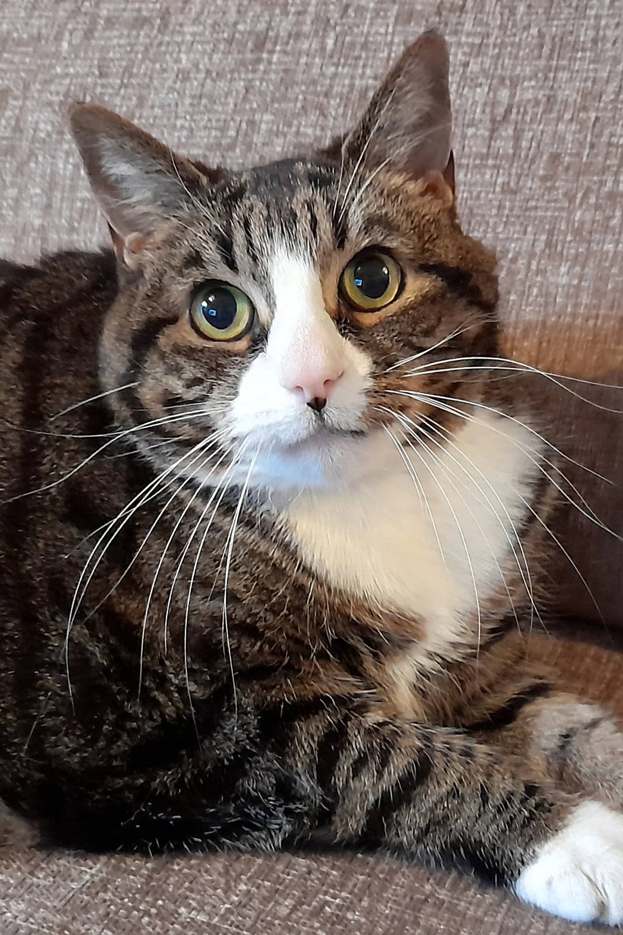 CATS 0047.jpg