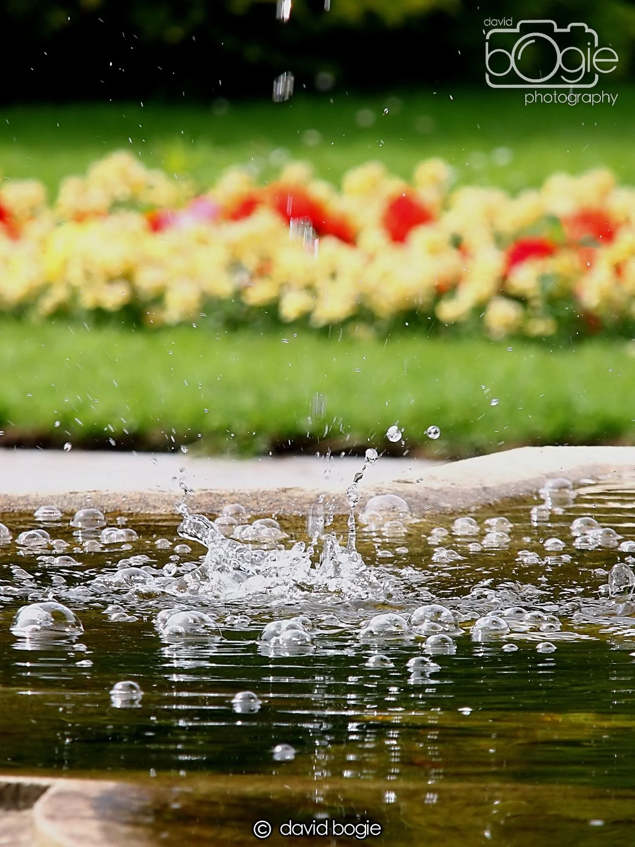 20240722 132624 Beveridge 0081.JPG