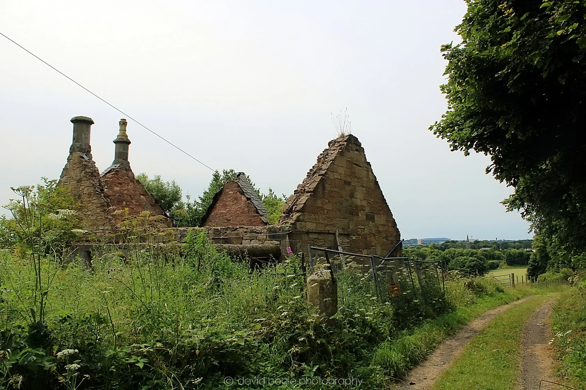 20210718 134337 Fife 0024.jpg