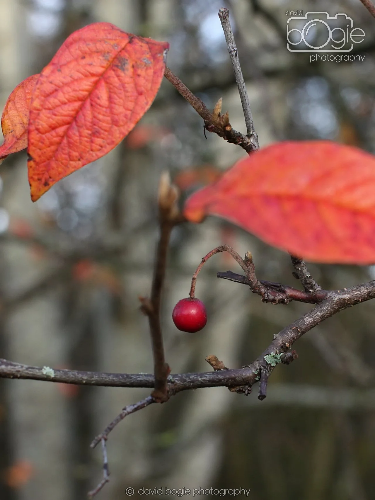 20251205 123909 East Calder 0039.JPG