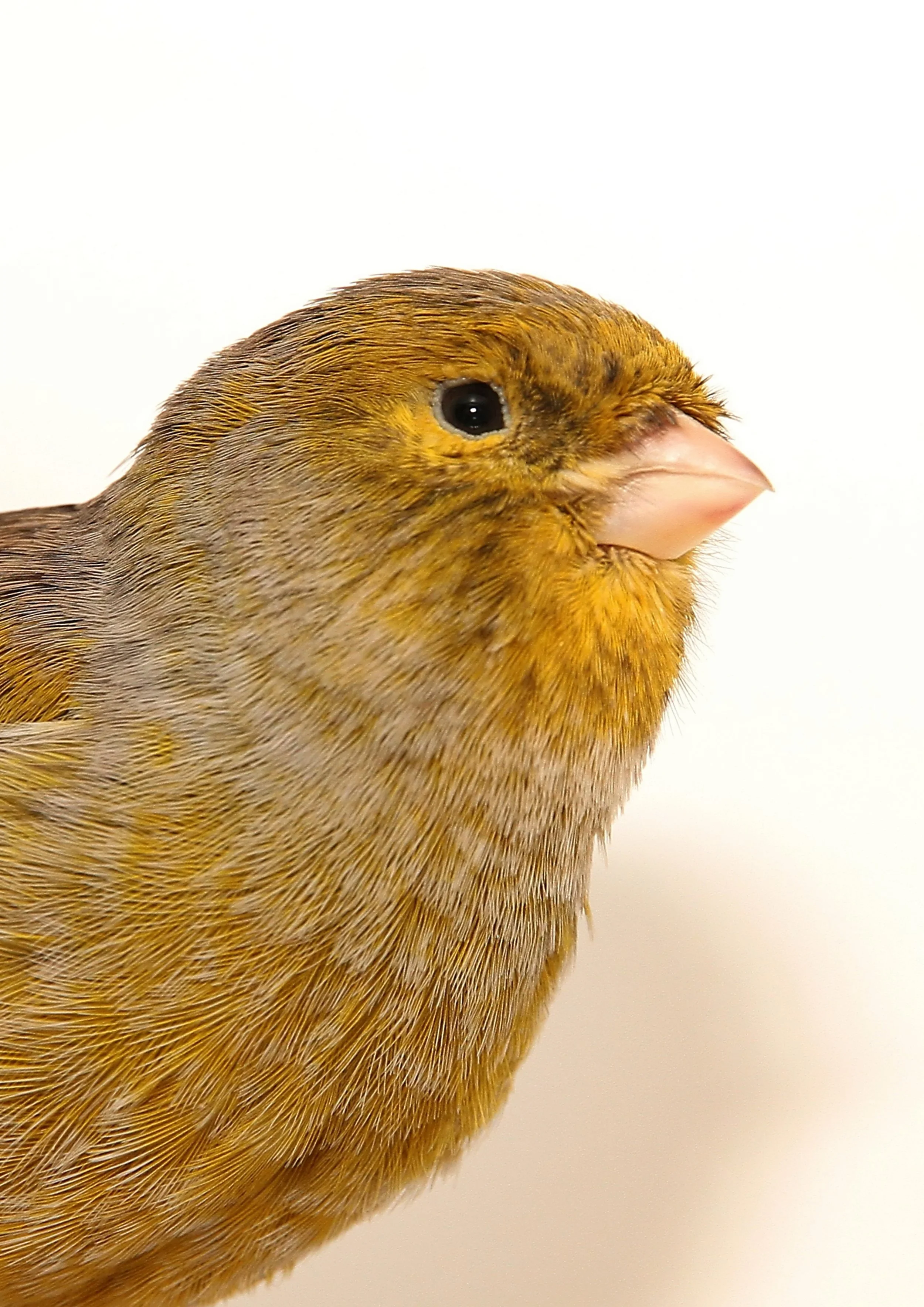 20260331 111626 K&S 0410.jpg