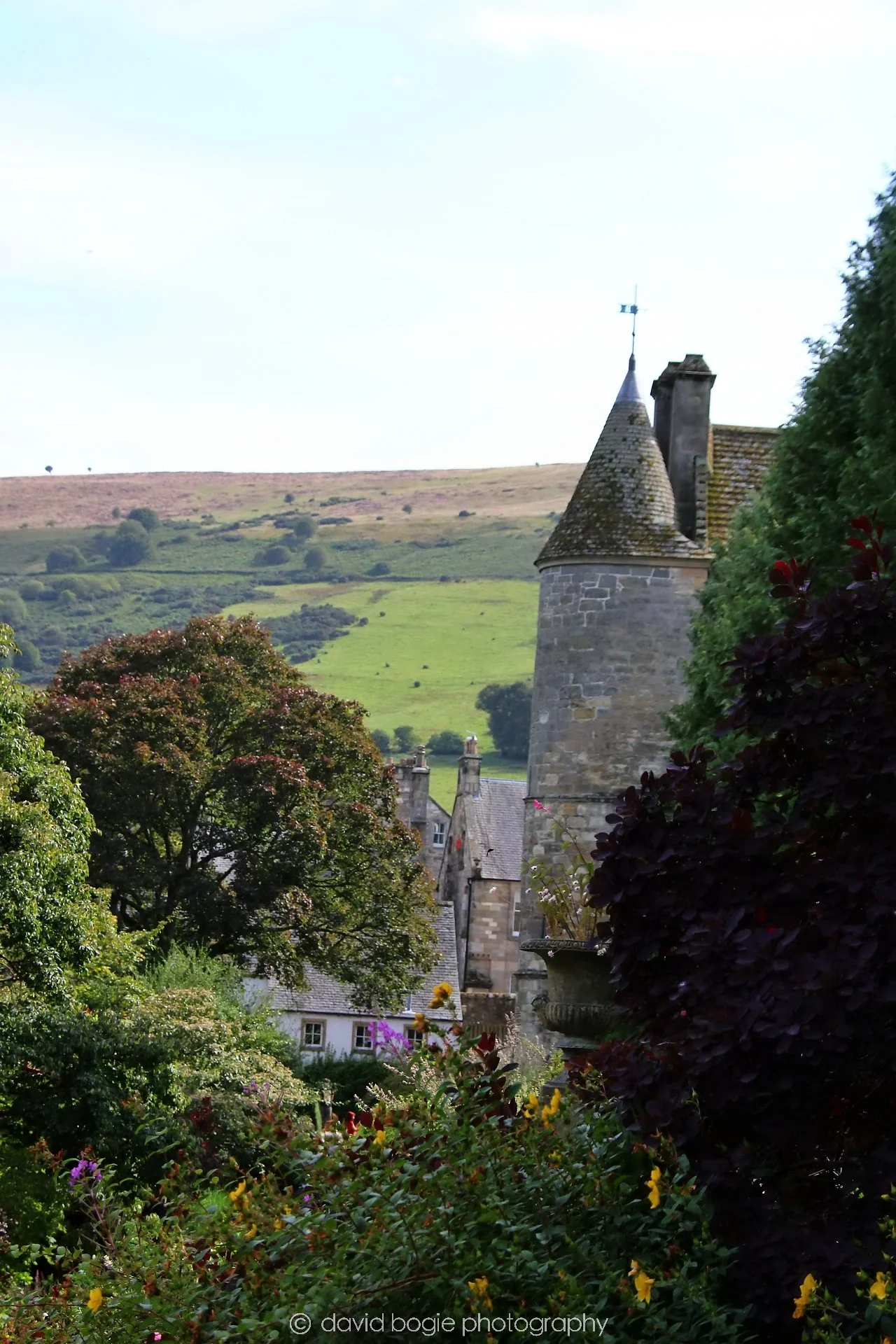 YEAR20250806 154822 Falkland 0229.jpg