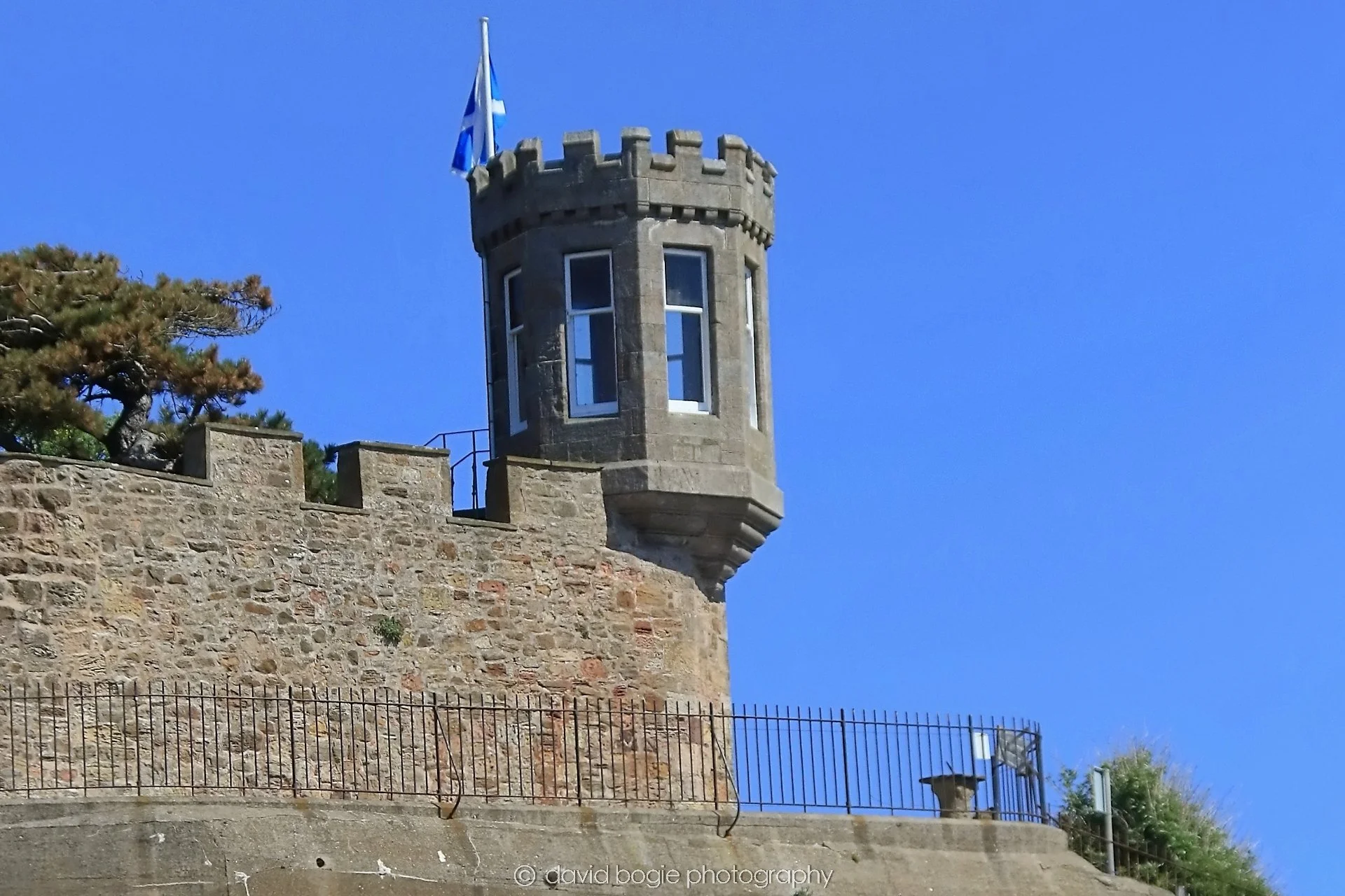 YEAR20250509 120630 Crail 0210.jpg