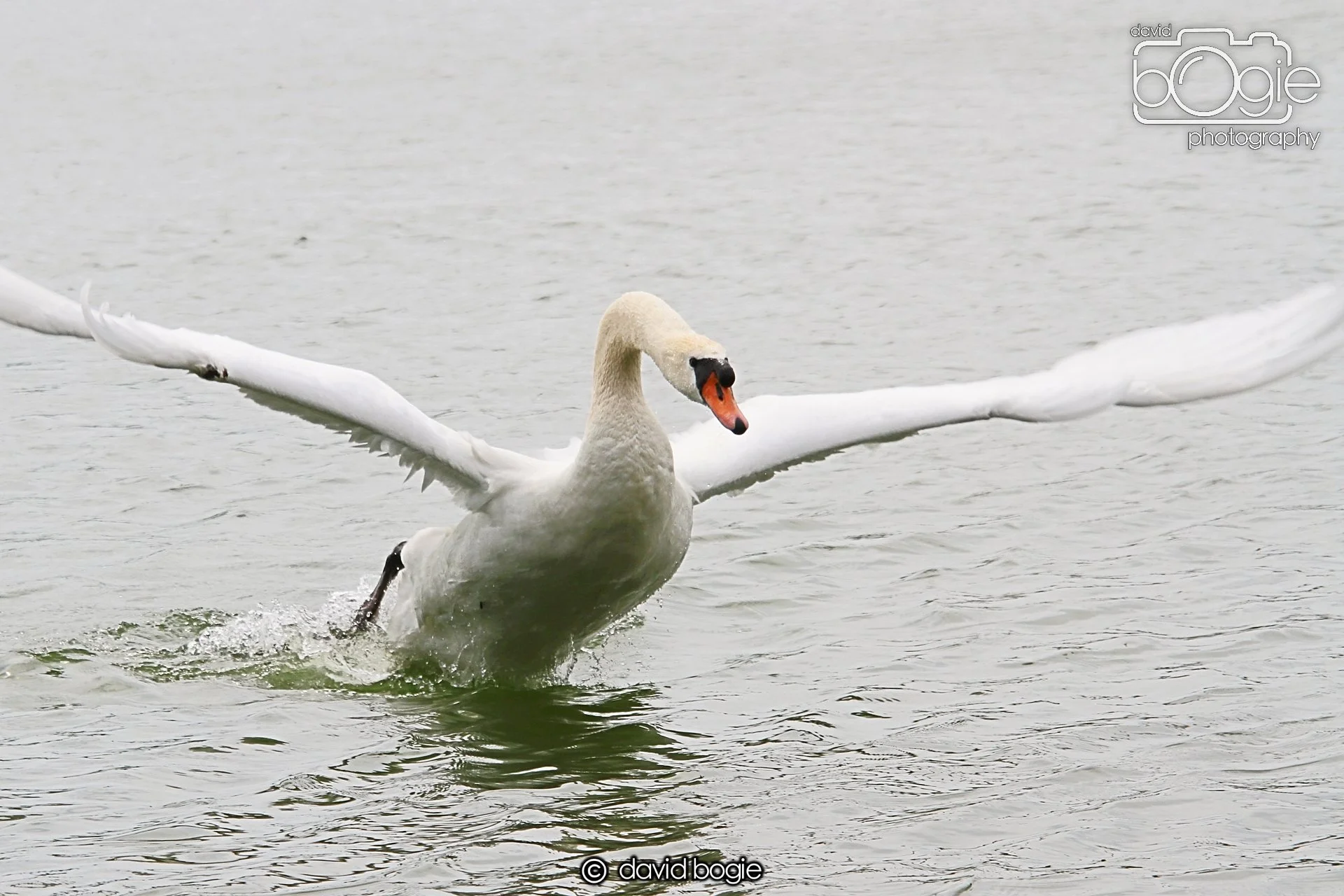 20230618 Kinghorn Loch 120810 0176.jpg