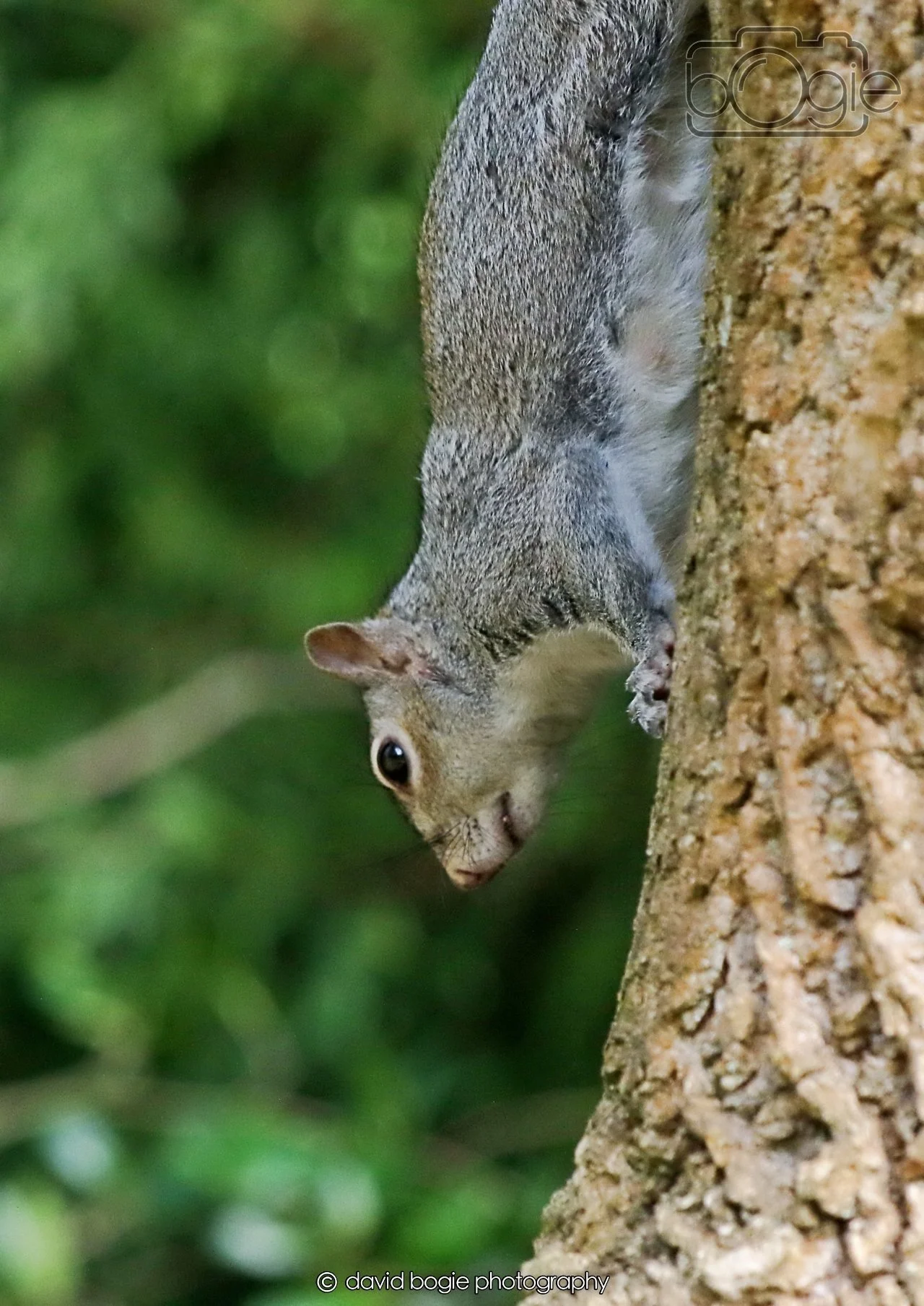 20260403 122153 Dunnikier 0169.jpg