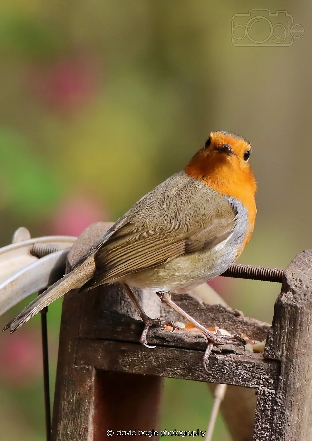 20260326 120858 Silverburn 0444.jpg