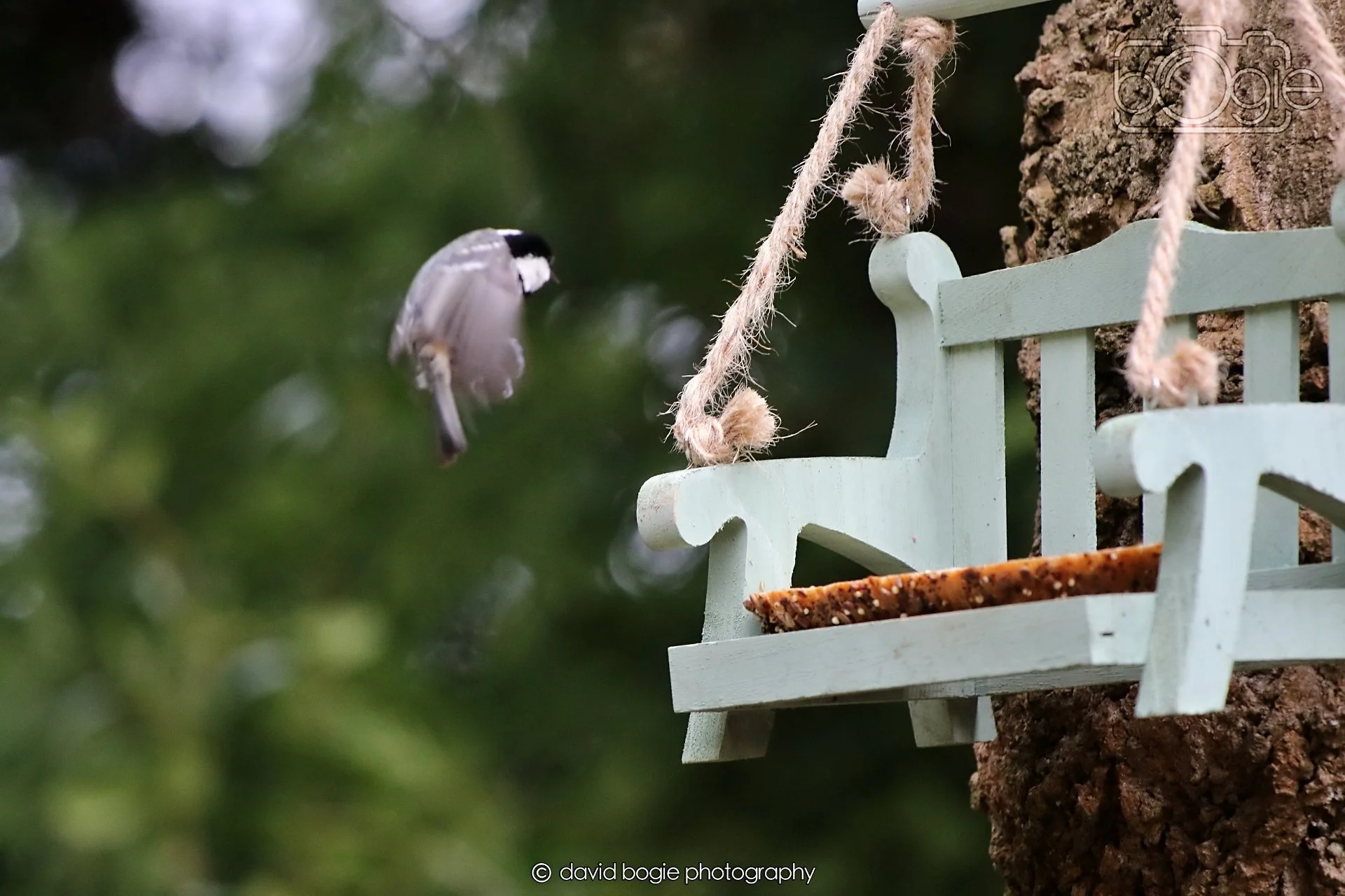 20260330 113517 Dunnikier 0226.jpg