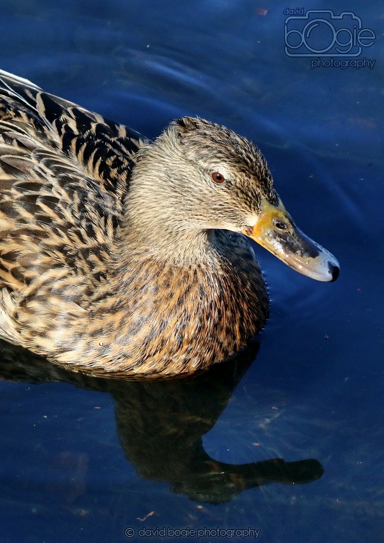 20260319 112841 Beveridge Park 0032.jpg