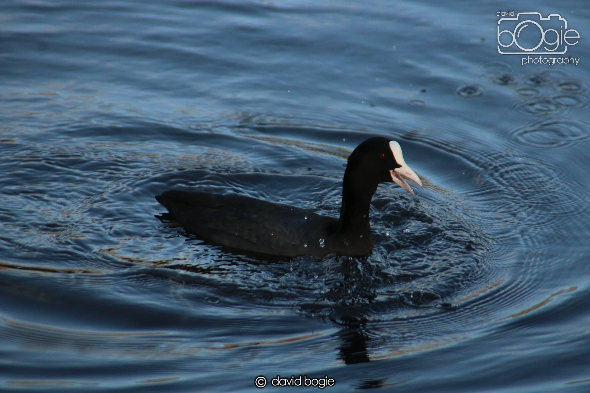 20220101 Beveridge Park 4 .JPG