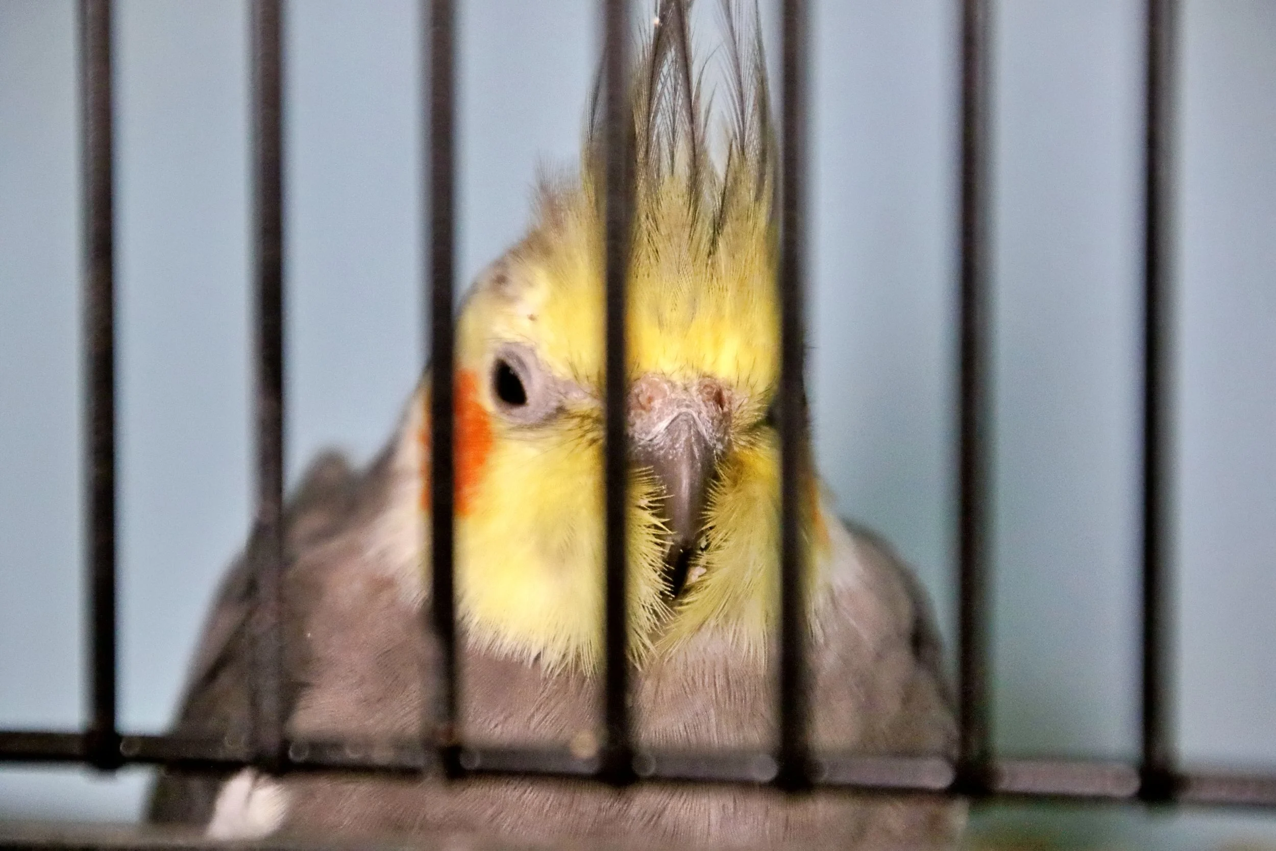 20251102 125109 Markinch CBS  0582.JPG