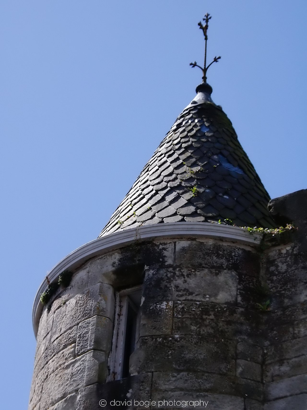YEAR20240606 125737 Falkland 0118.jpg