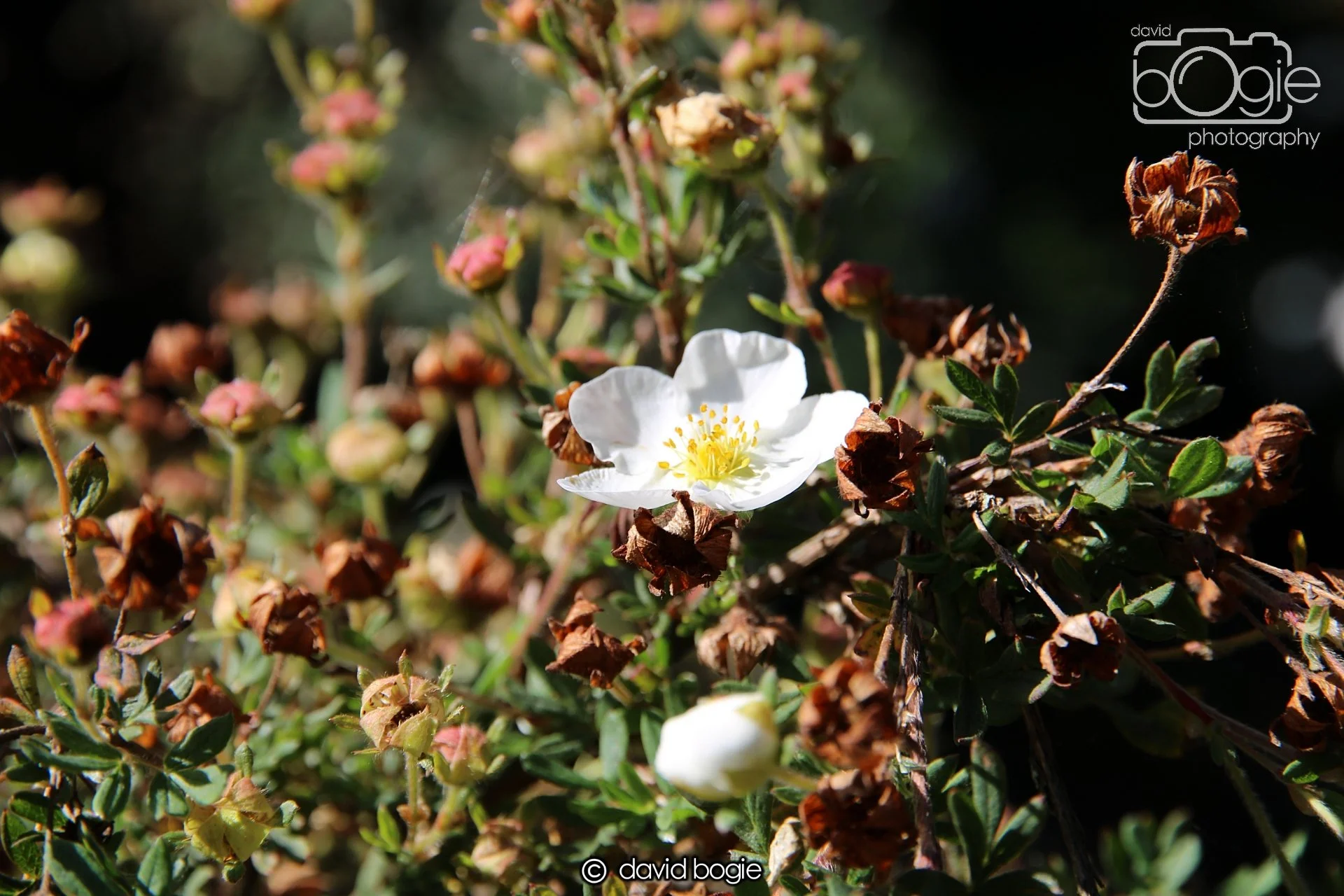 20220926 Beveridge Park1 .JPG